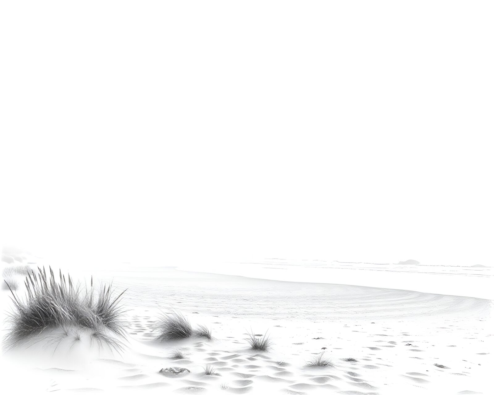 A foggy beach scene with intricate crosshatching details