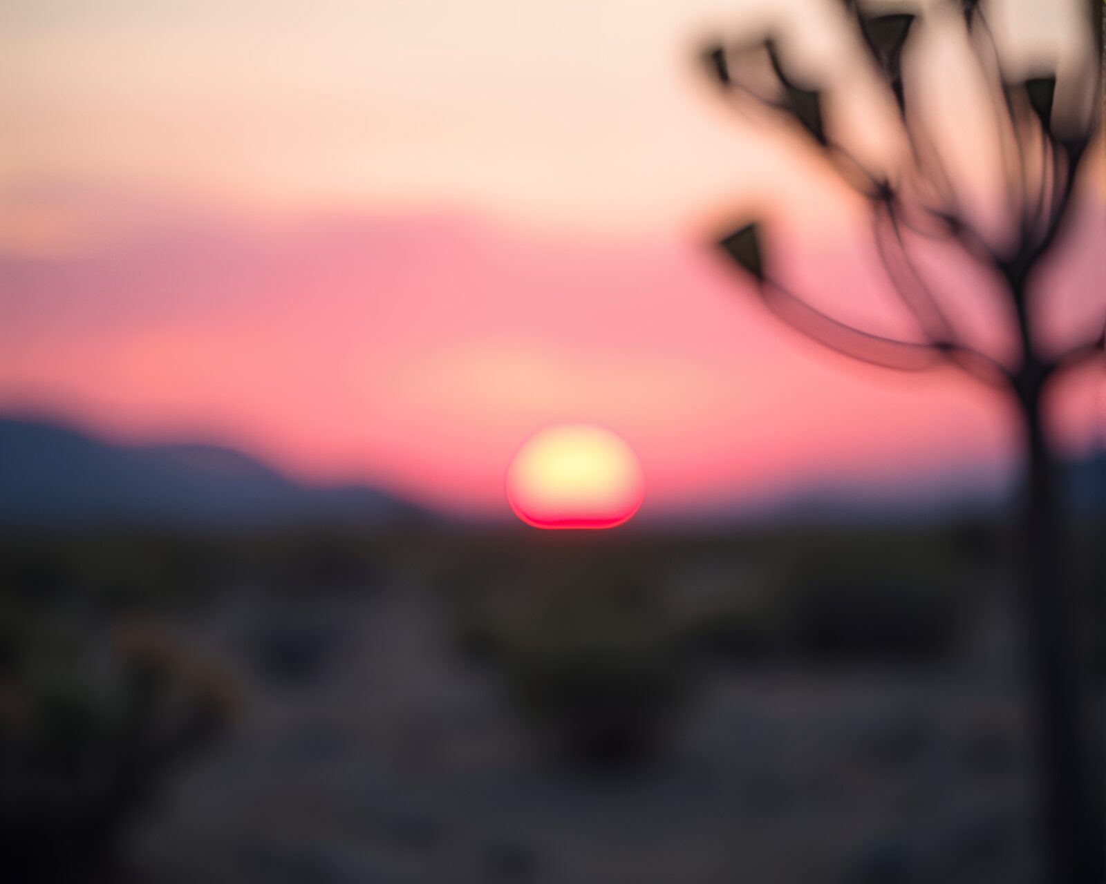 Engraved style image of ethereal pink sunrise in desert