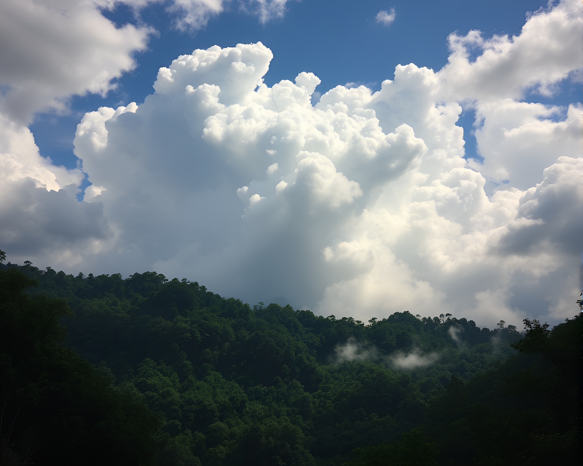 Explosive Jungle Canopy: Stereograph Rainforest Blast – free AI stock image