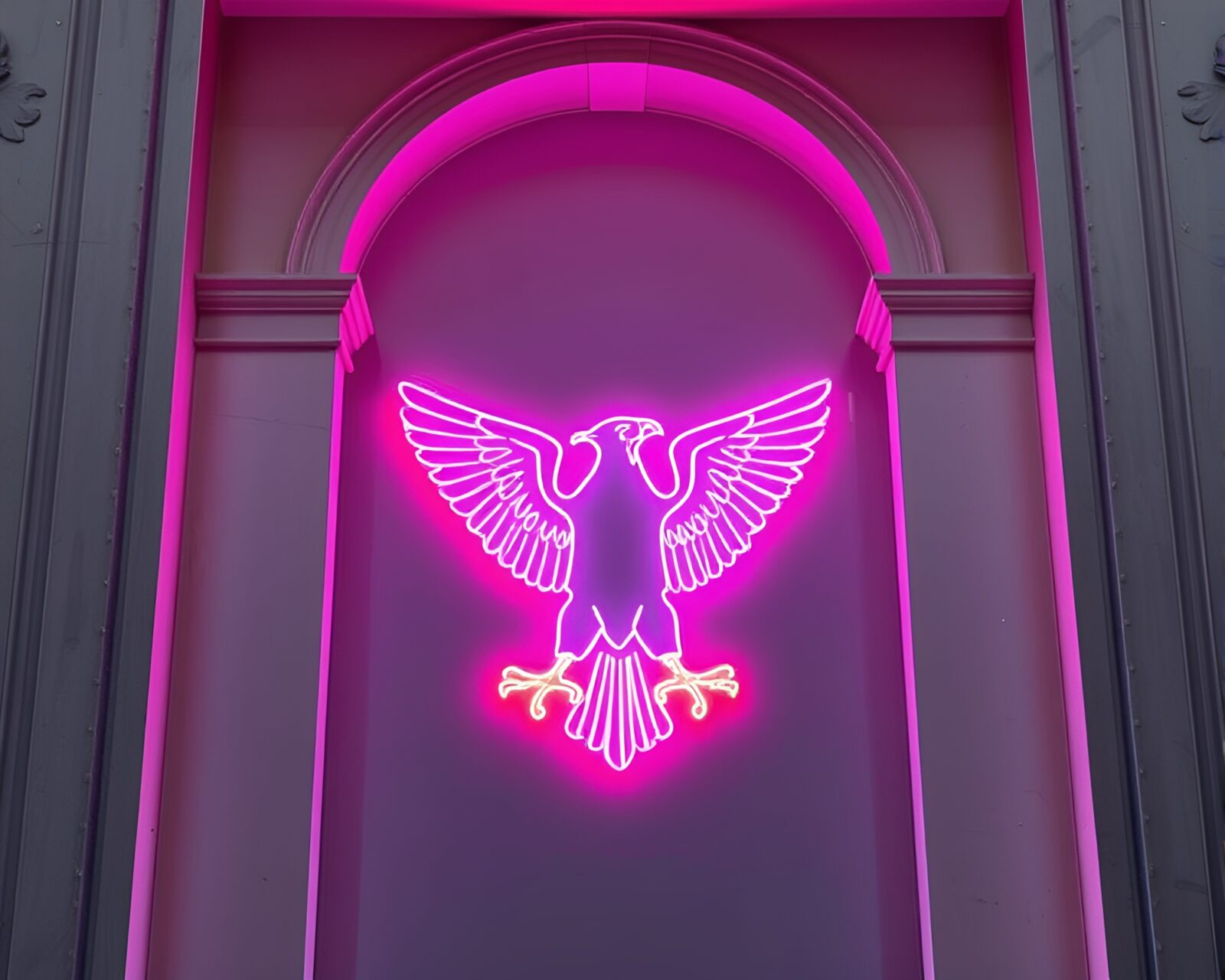 Mix of pastel neon colors shaping an engraved eagle.