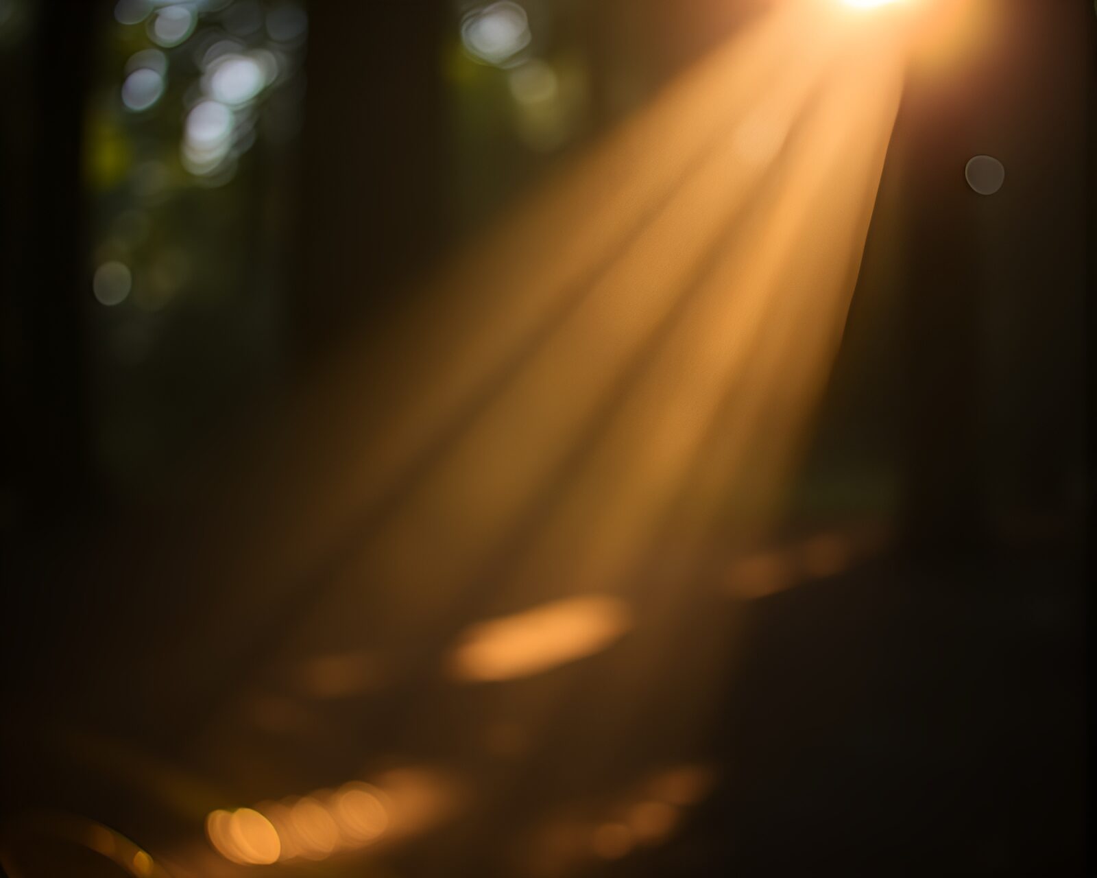 Intricate pattern with blurred foreground and glowing streaks of light