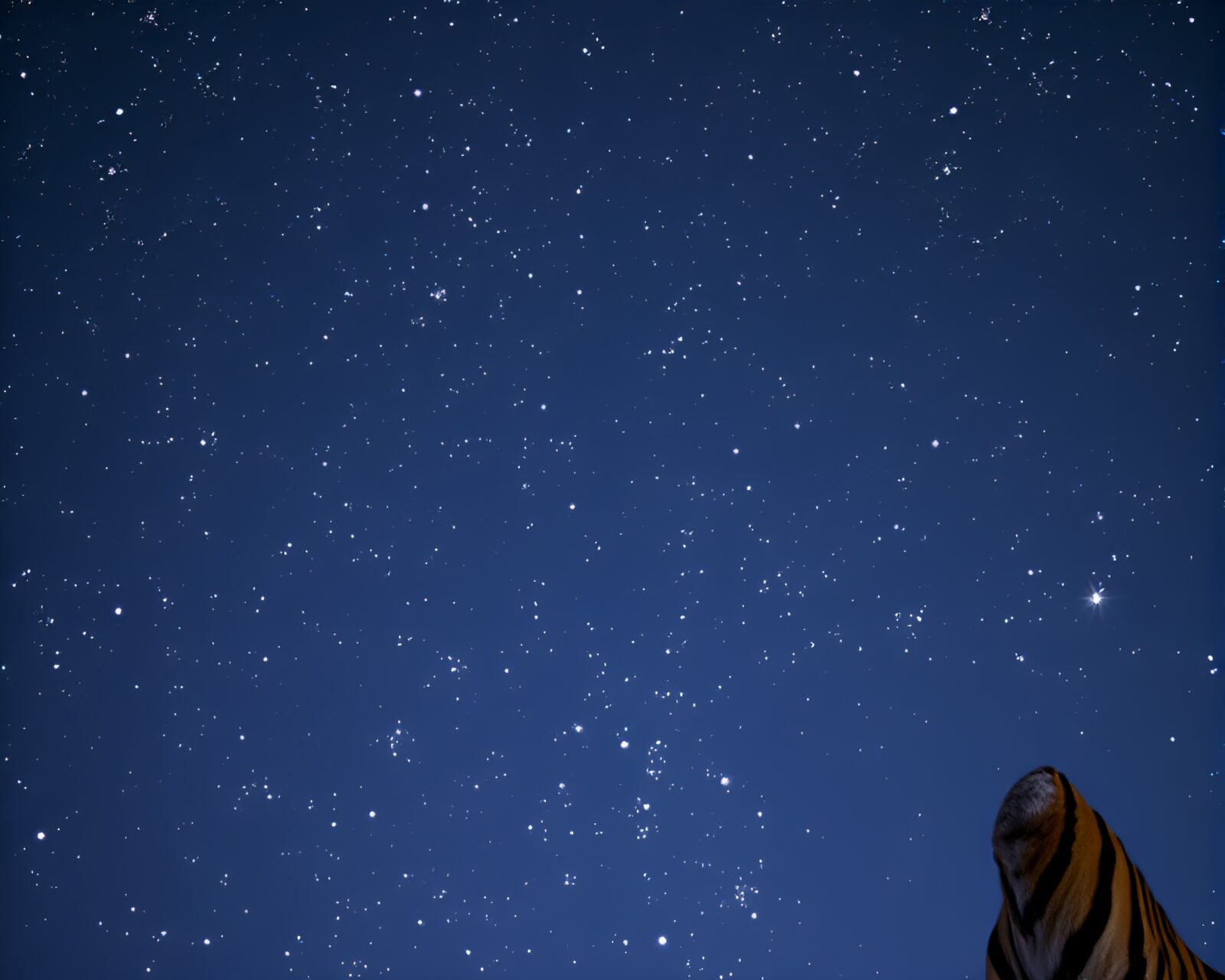 Majestic tiger among rust stain streaks under night sky