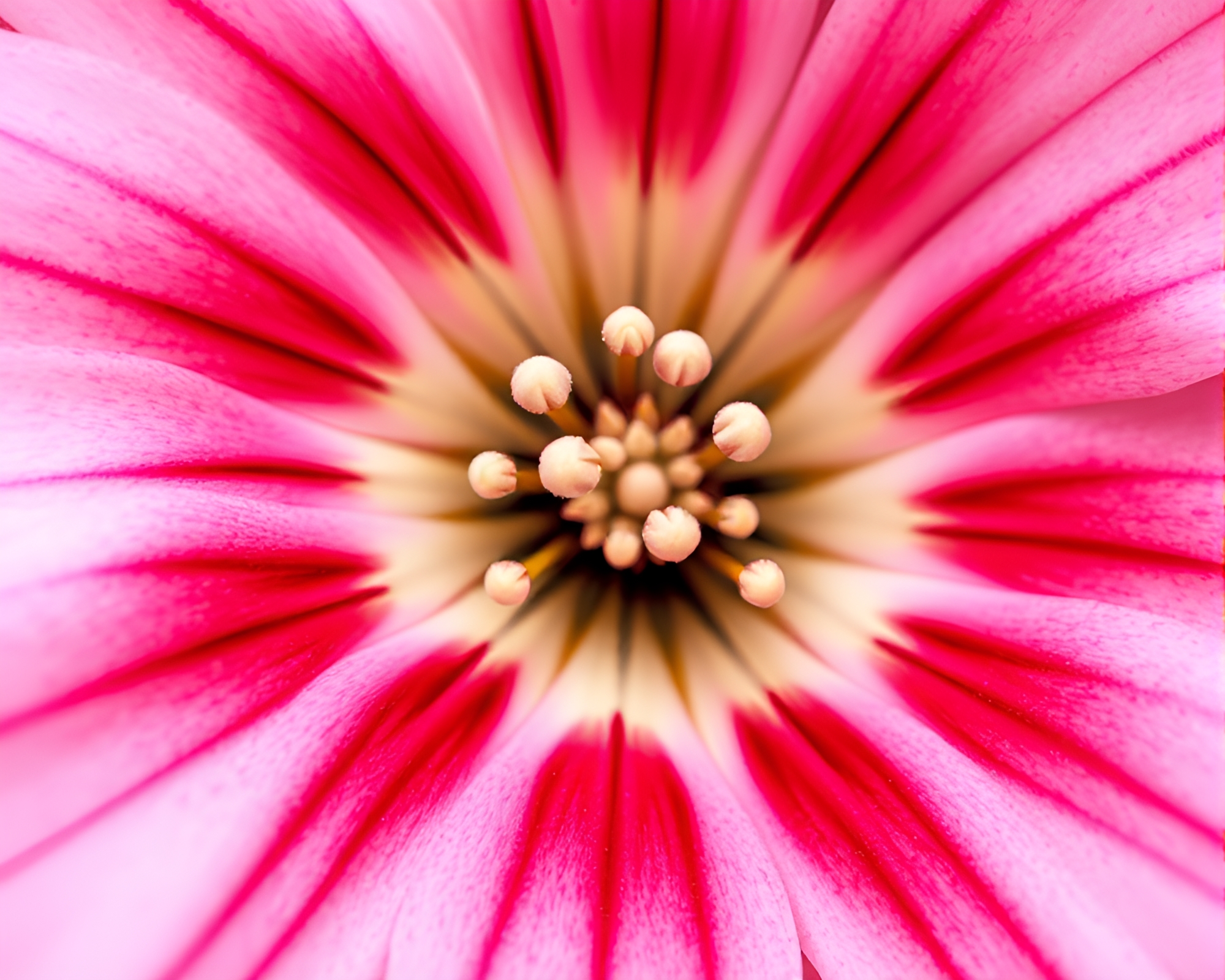 Zebra in Floral Shadowy Brilliance – free AI stock image
