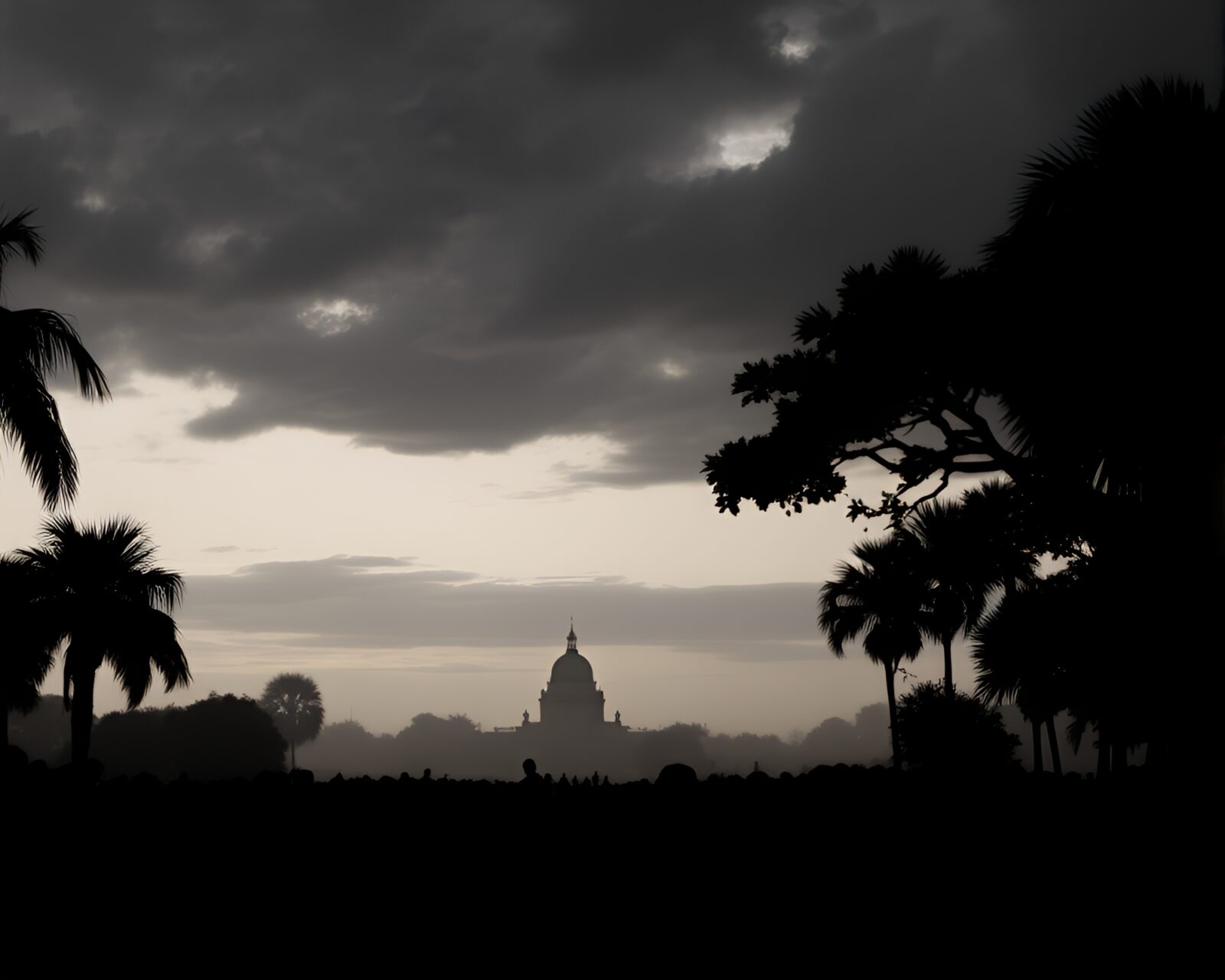 Black silhouette crowd on savannah under moonlight