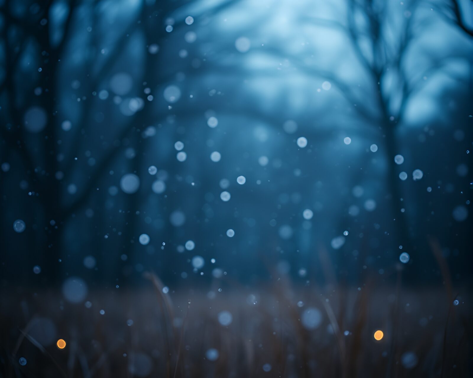 Glimmering snowflakes over a sunlit savannah landscape