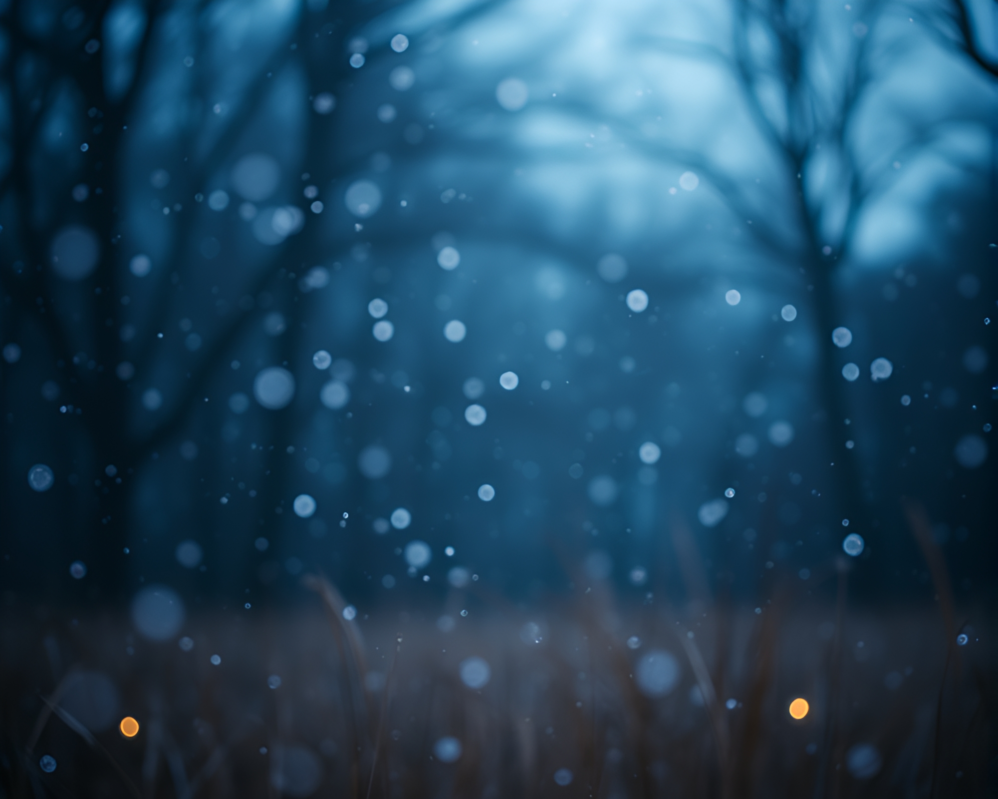 Snowflakes Sparkling on Savannah with Shallow Depth of Field – free AI stock image