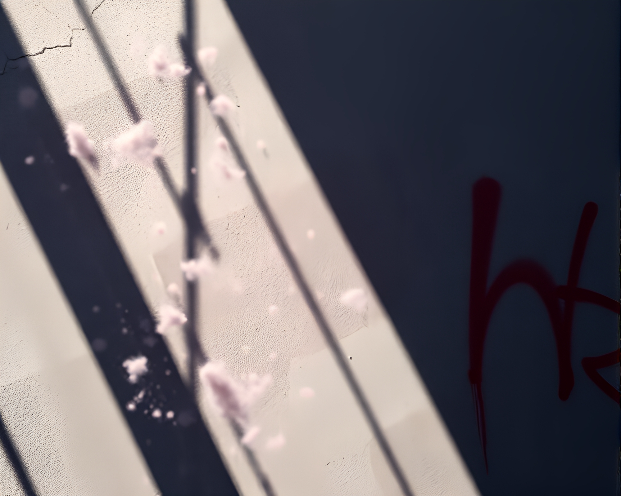 Neon Graffiti in Hard Shadows: Dust Particle Universe – free AI stock image