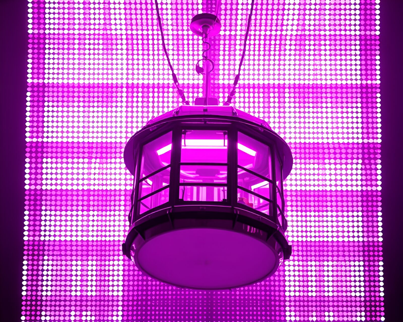 Vibrant magenta punch gondola lift under fluorescent lighting