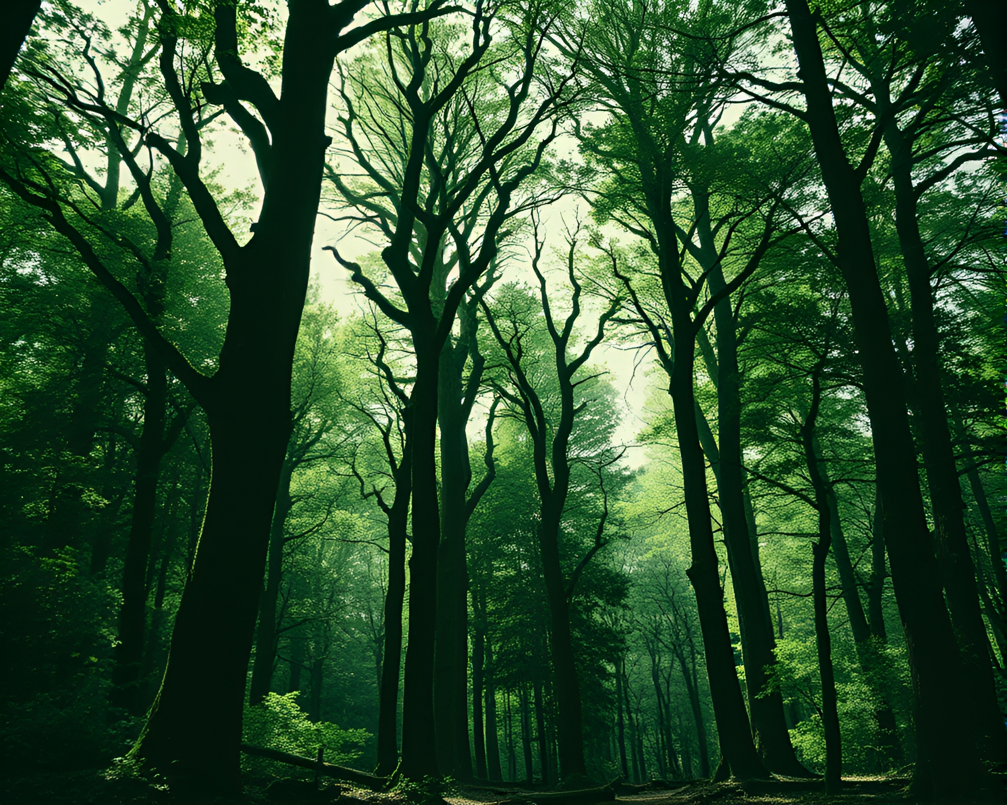 Enchanting Ancient Grove: Double Exposure Stipple Art – free AI stock image