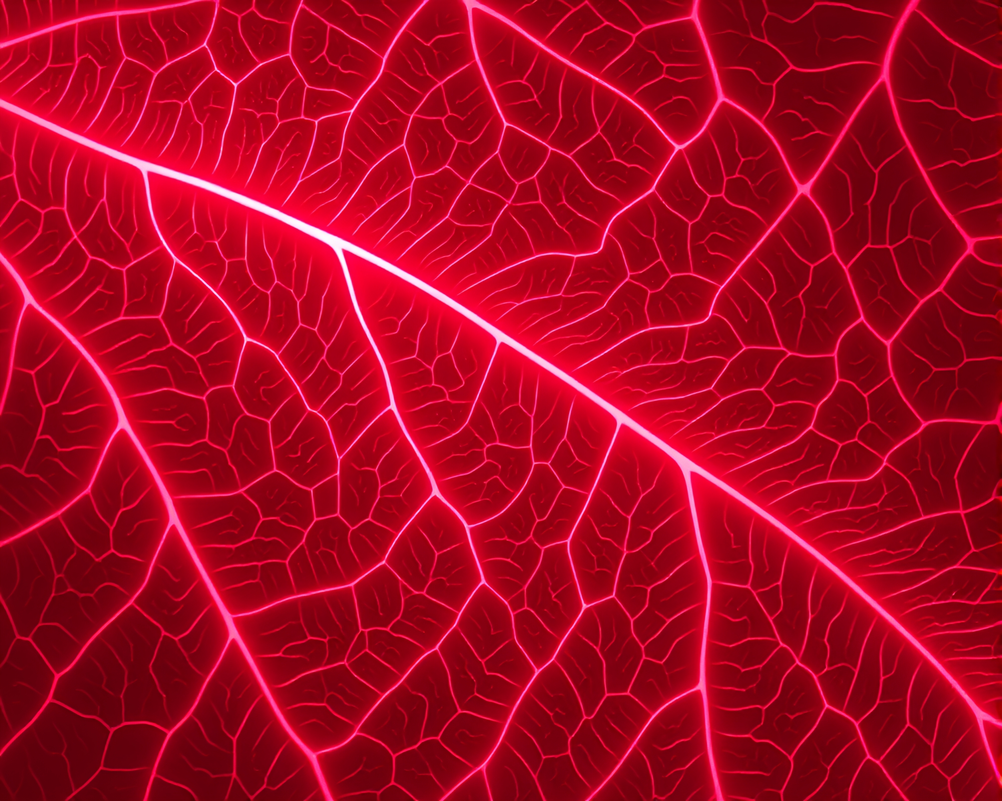 Flamingo Oasis in Algorithmic Leaf Veins – free AI stock image