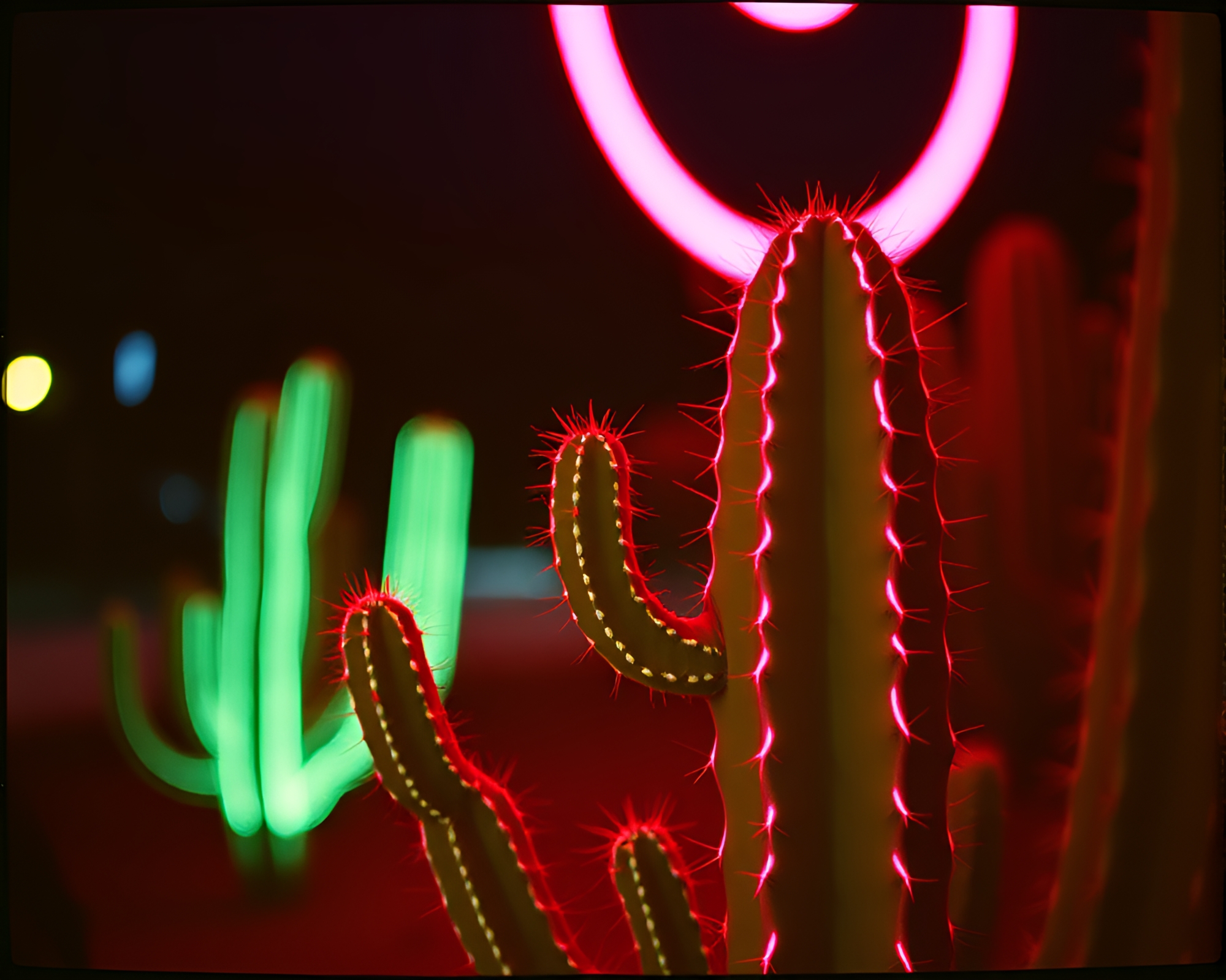 Neon Cactus Garden in Moody Night Light – free AI stock image