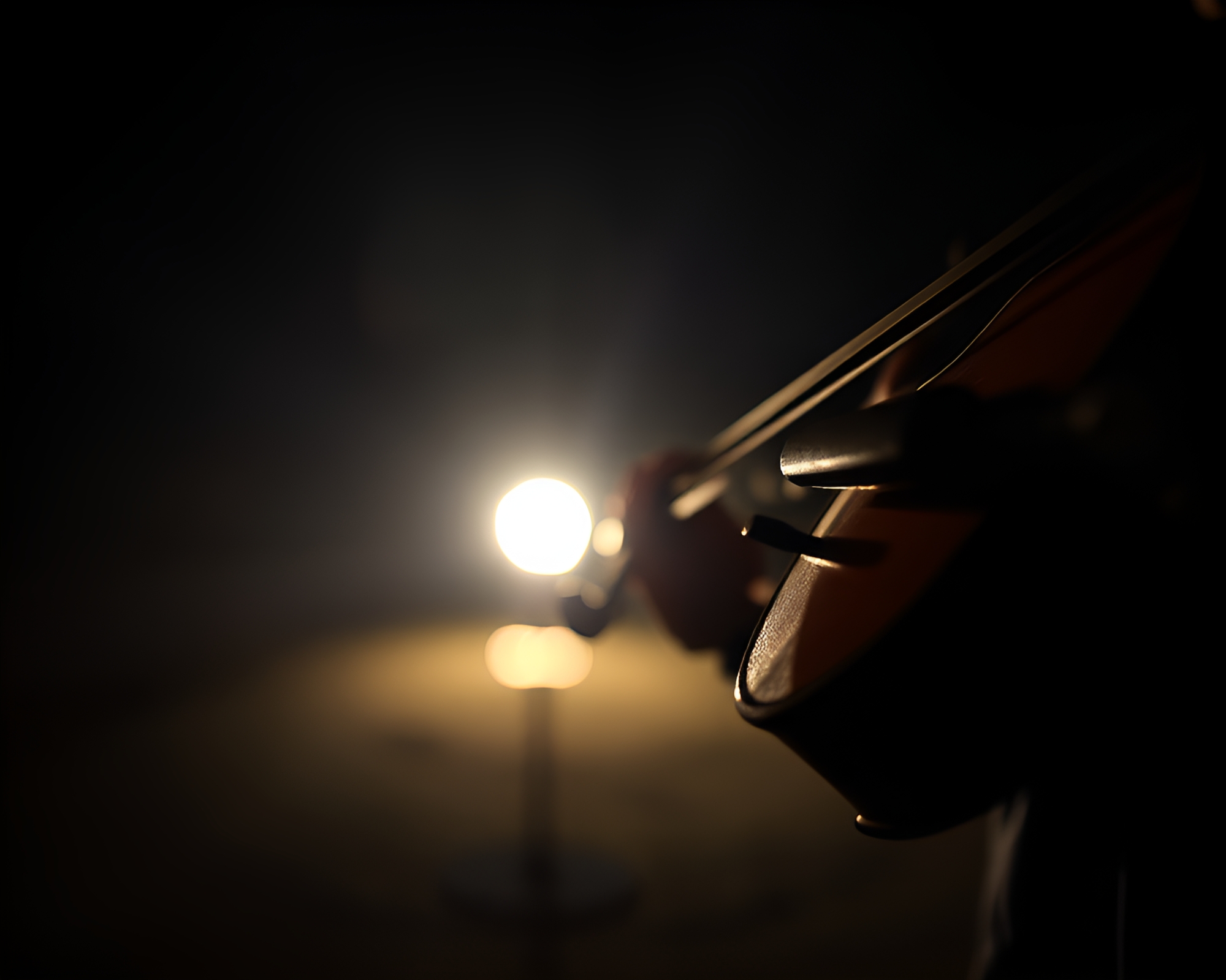 Enchanting Violin Performance in Torchlight Glow – free AI stock image