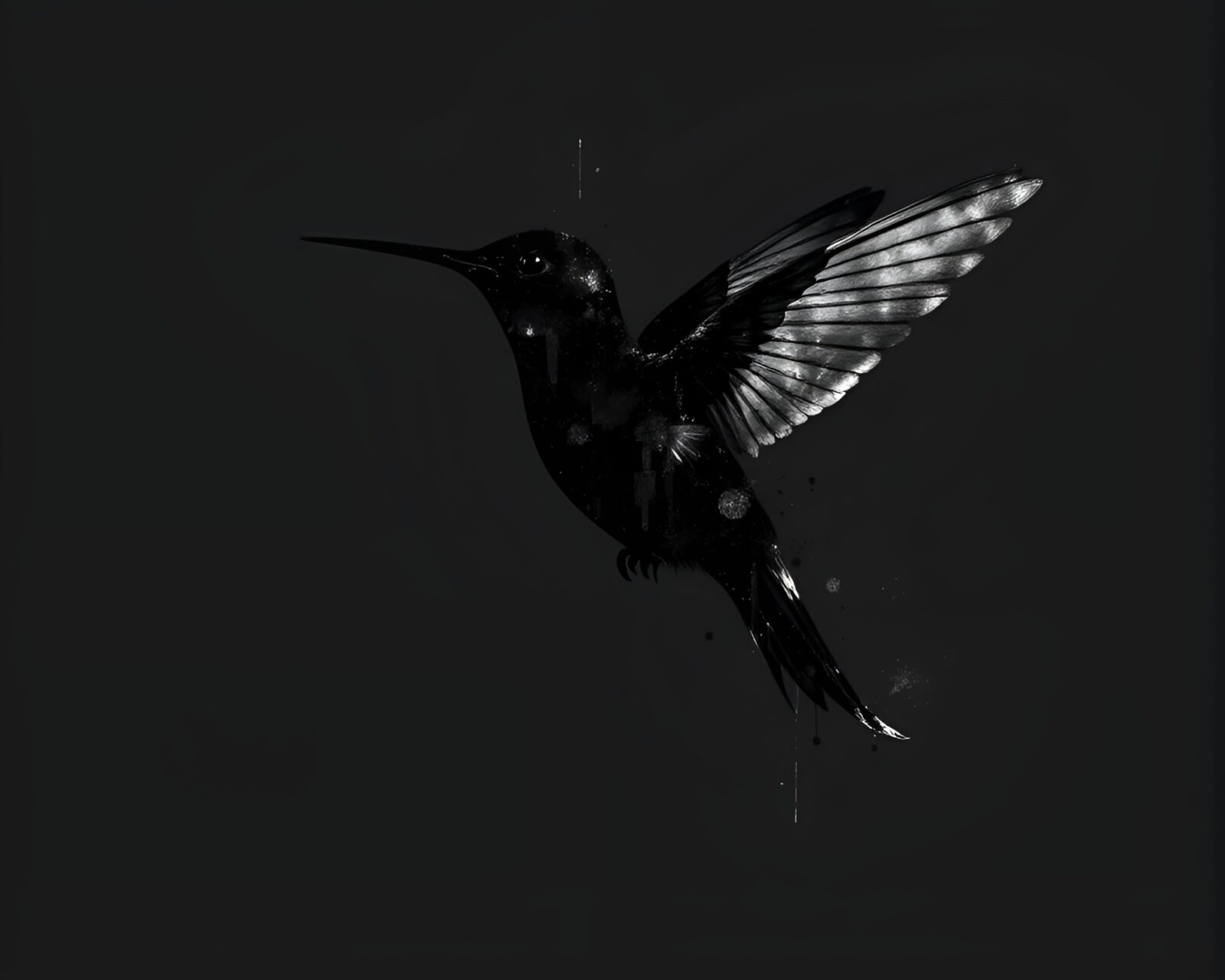 Charcoal black hummingbird reflected in glitchy silhouette