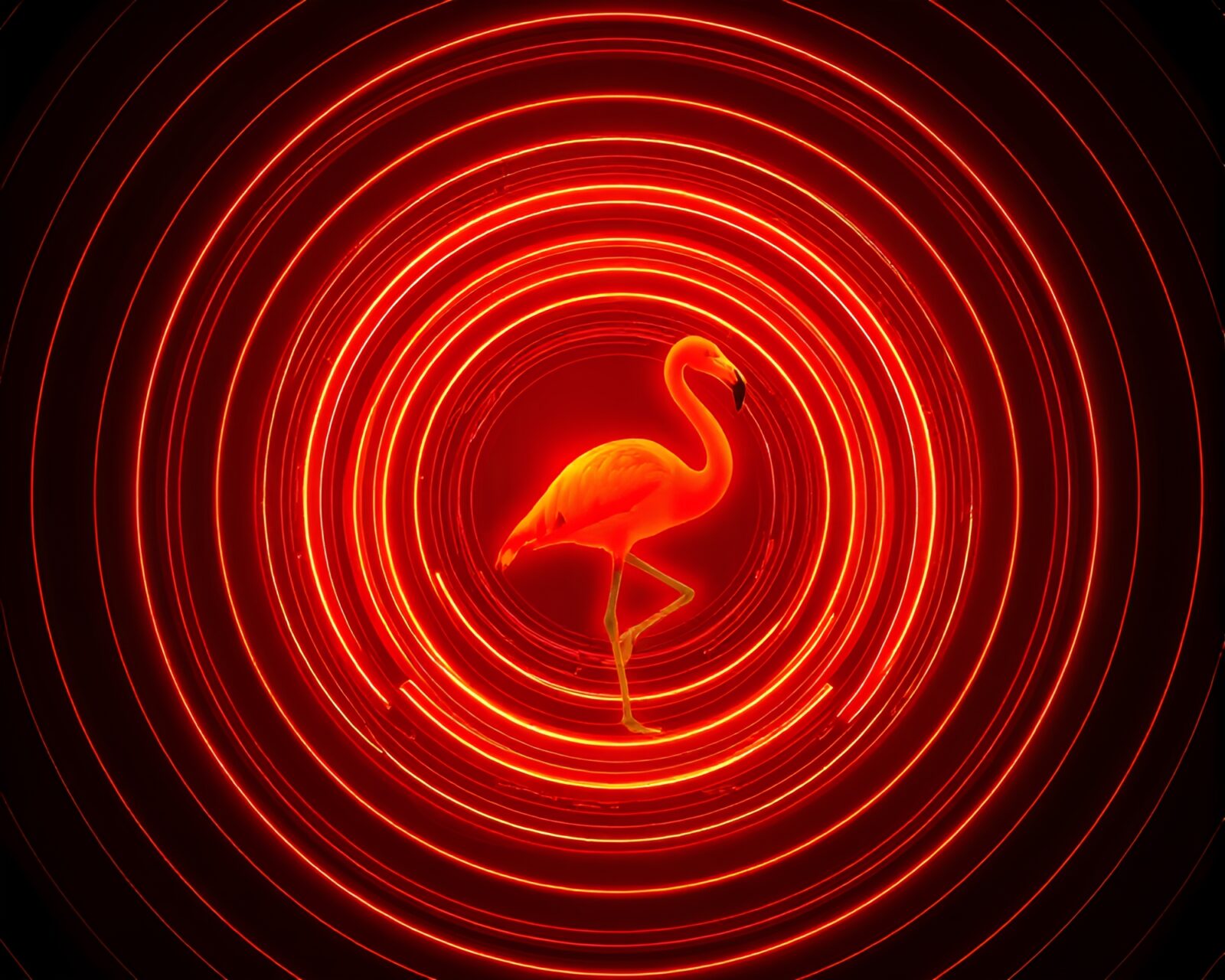 Wireframe flamingo surrounded by orange concentric circles