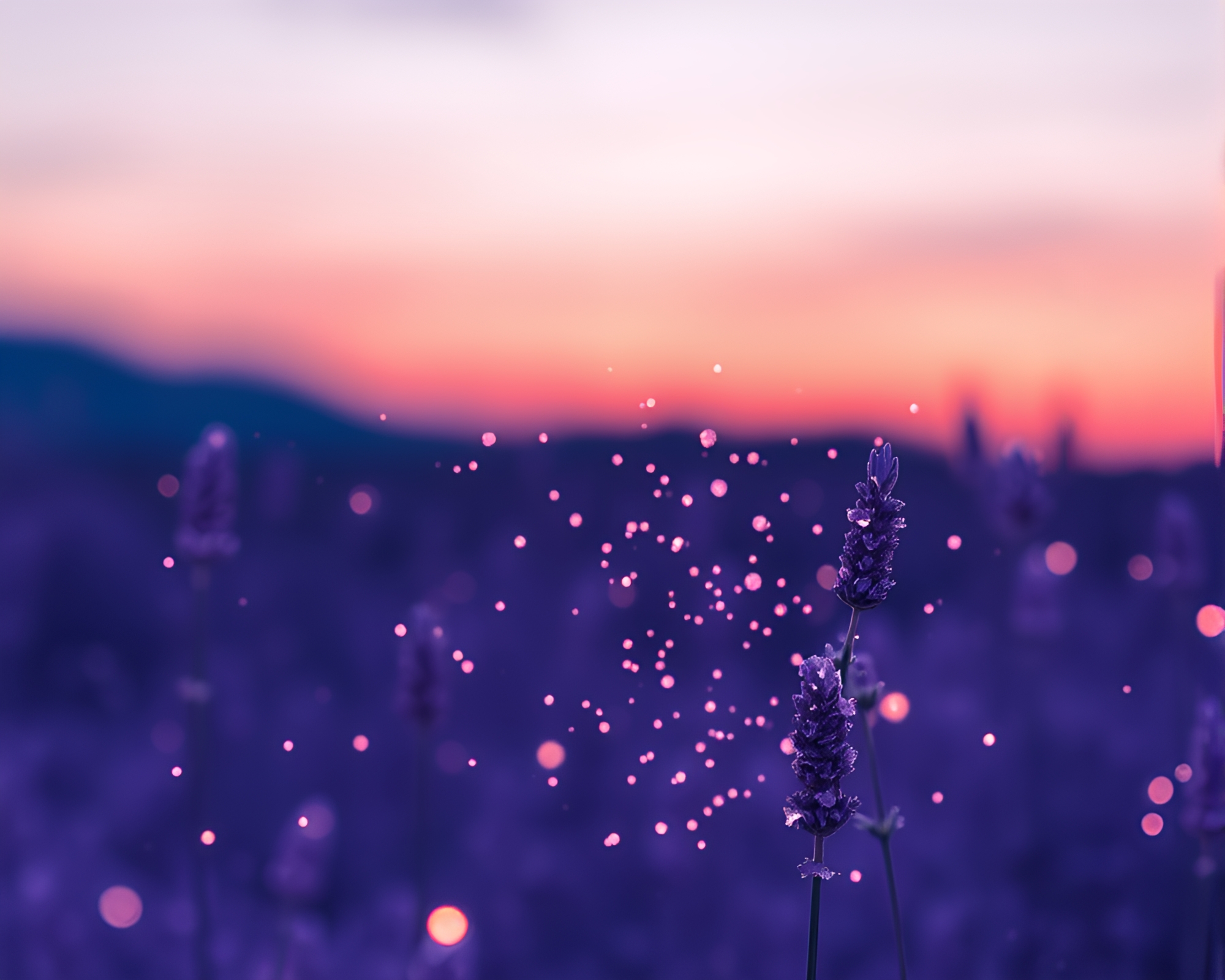 Lavender Twilight Zoom Burst Crystal Calligraphy Art – free AI stock image