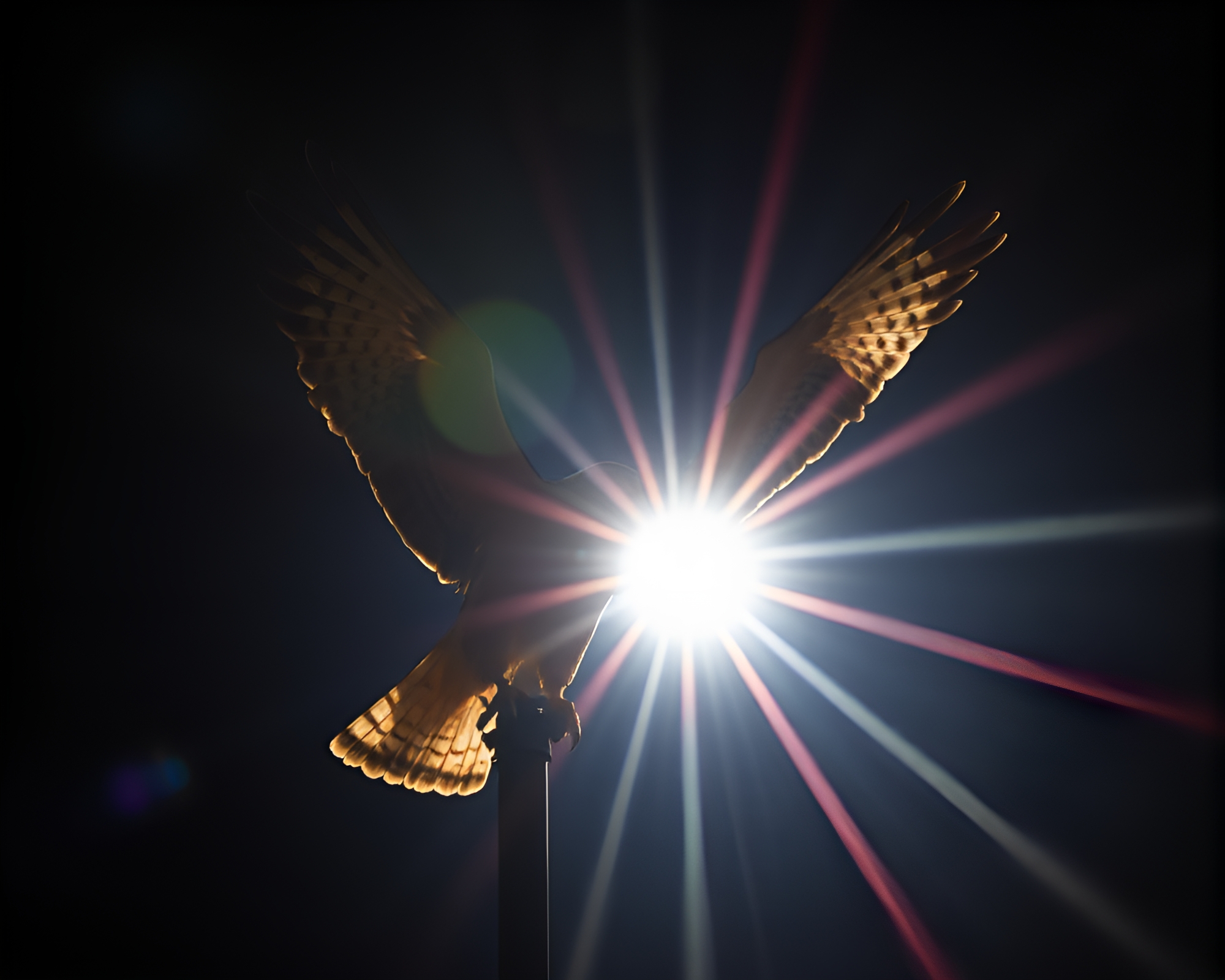 Stunning Falcon Club Strobe Lights Lens Flare Image – free AI stock image