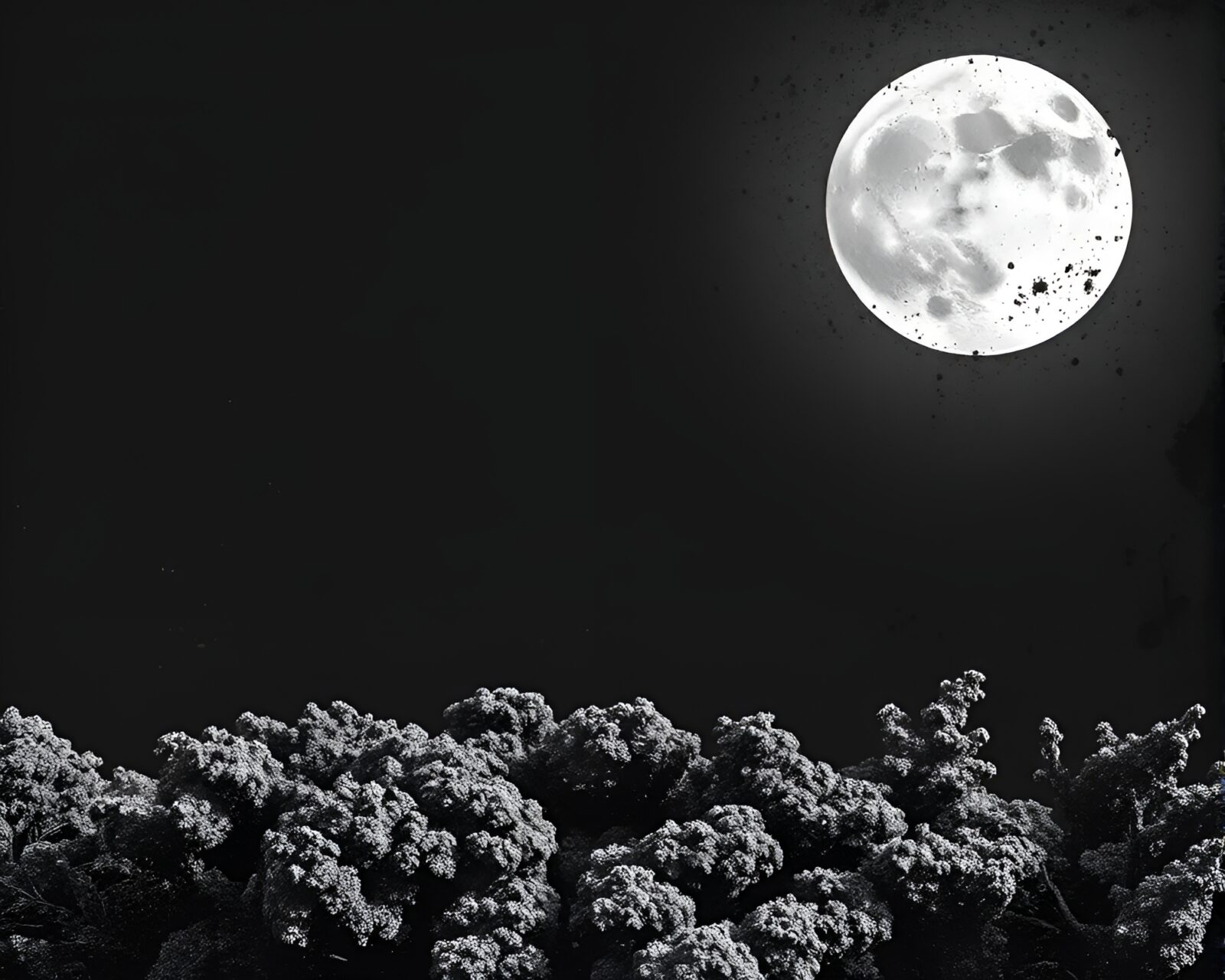 Grayscale splatter art of coral atoll with lichen