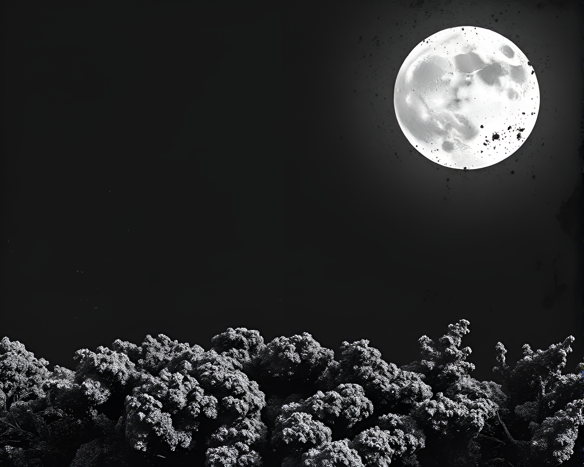 Moonlit Coral Atoll with Lichen Textures – free AI stock image