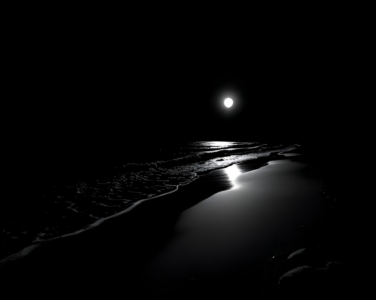 High-contrast beach scene with intricate stitched details
