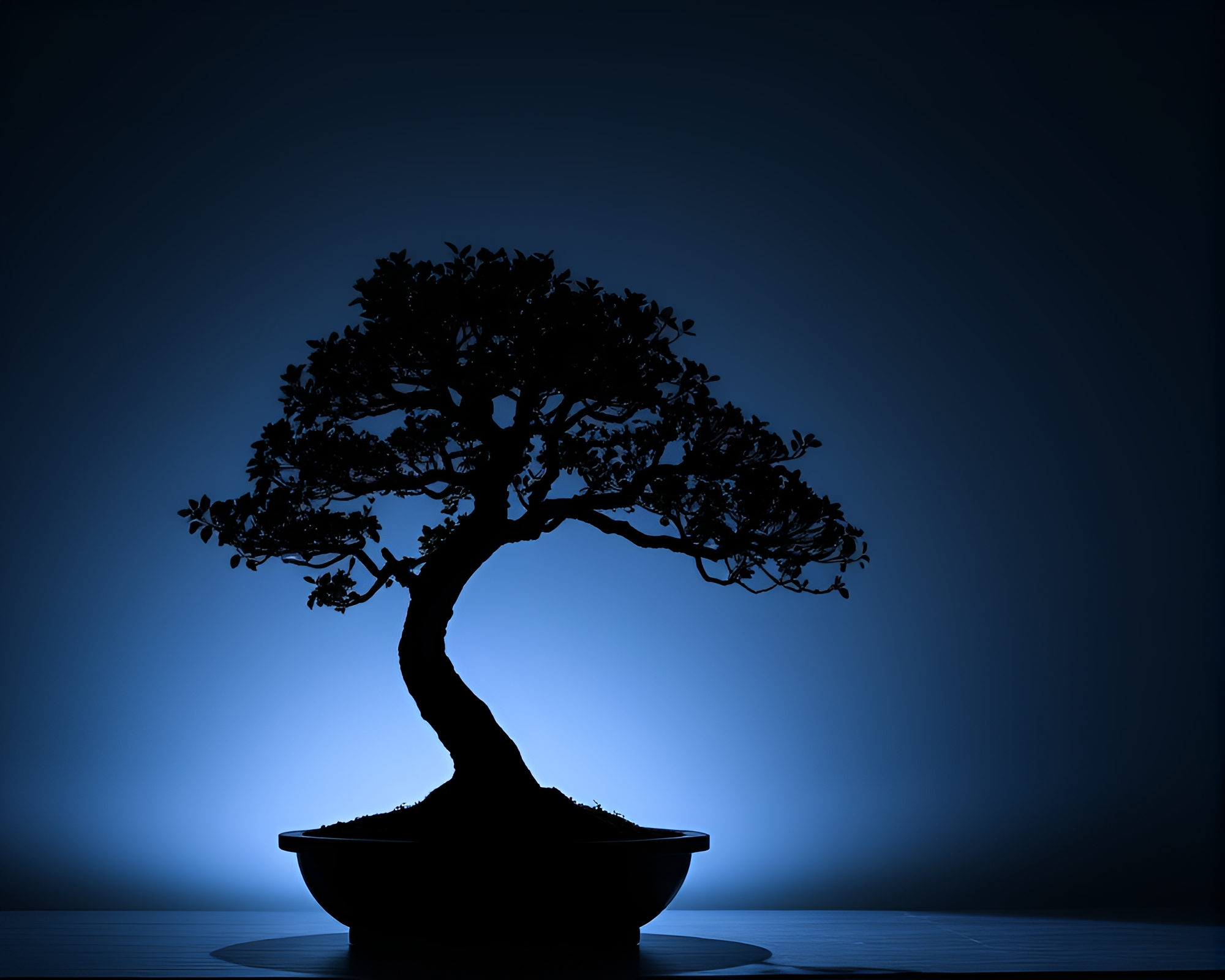 Phosphorescent Bonsai Tree Shadow Silhouette – free AI stock image