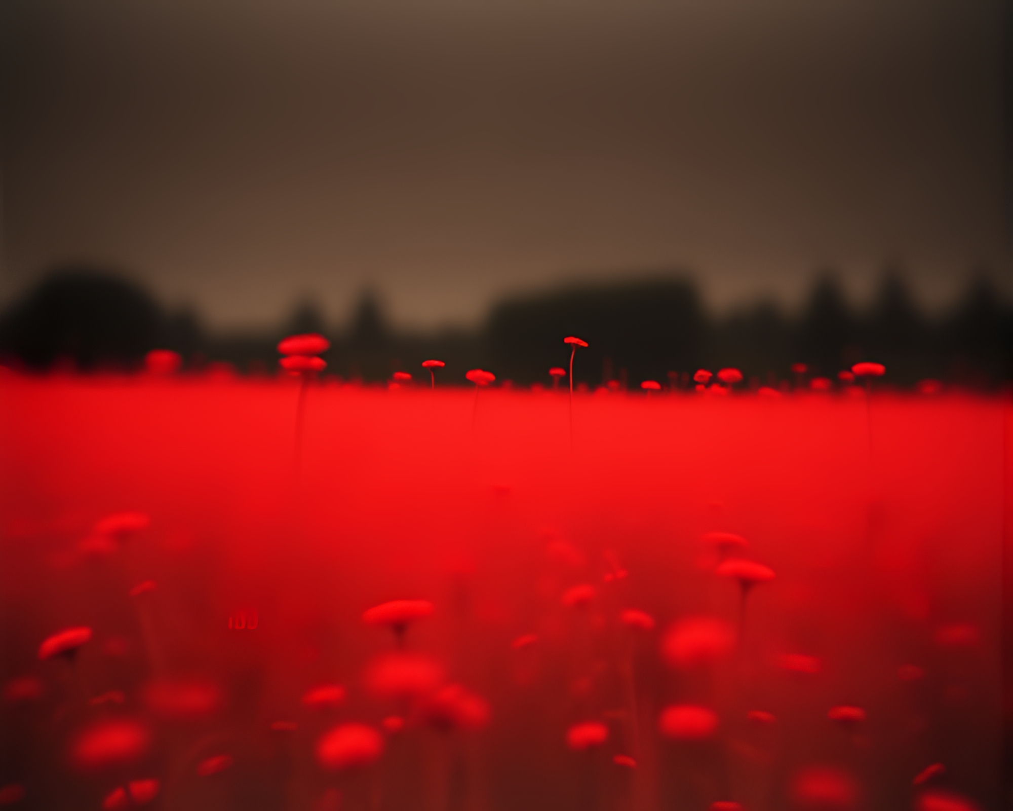 Ethereal Time Distortion in Surreal Red Landscape – free AI stock image