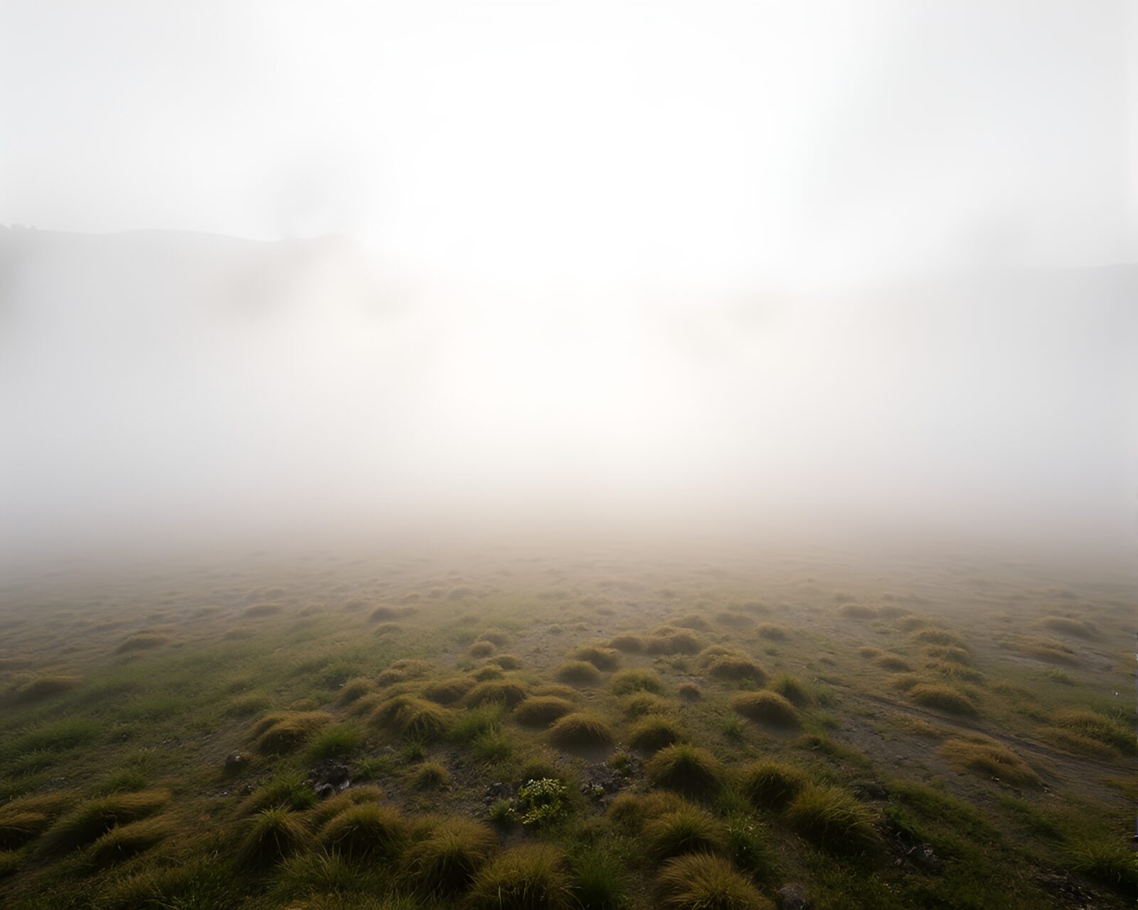Geometric abstraction of geyser field enveloped in fog and god rays
