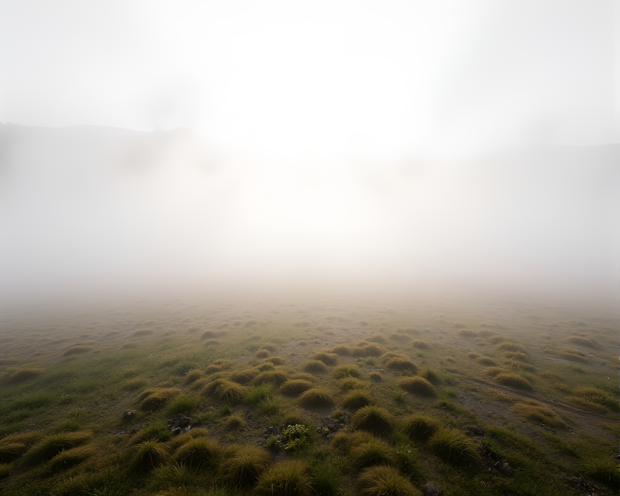 Mystical Geyser Field in Ethereal Fog with Radiant God Rays – free AI stock image