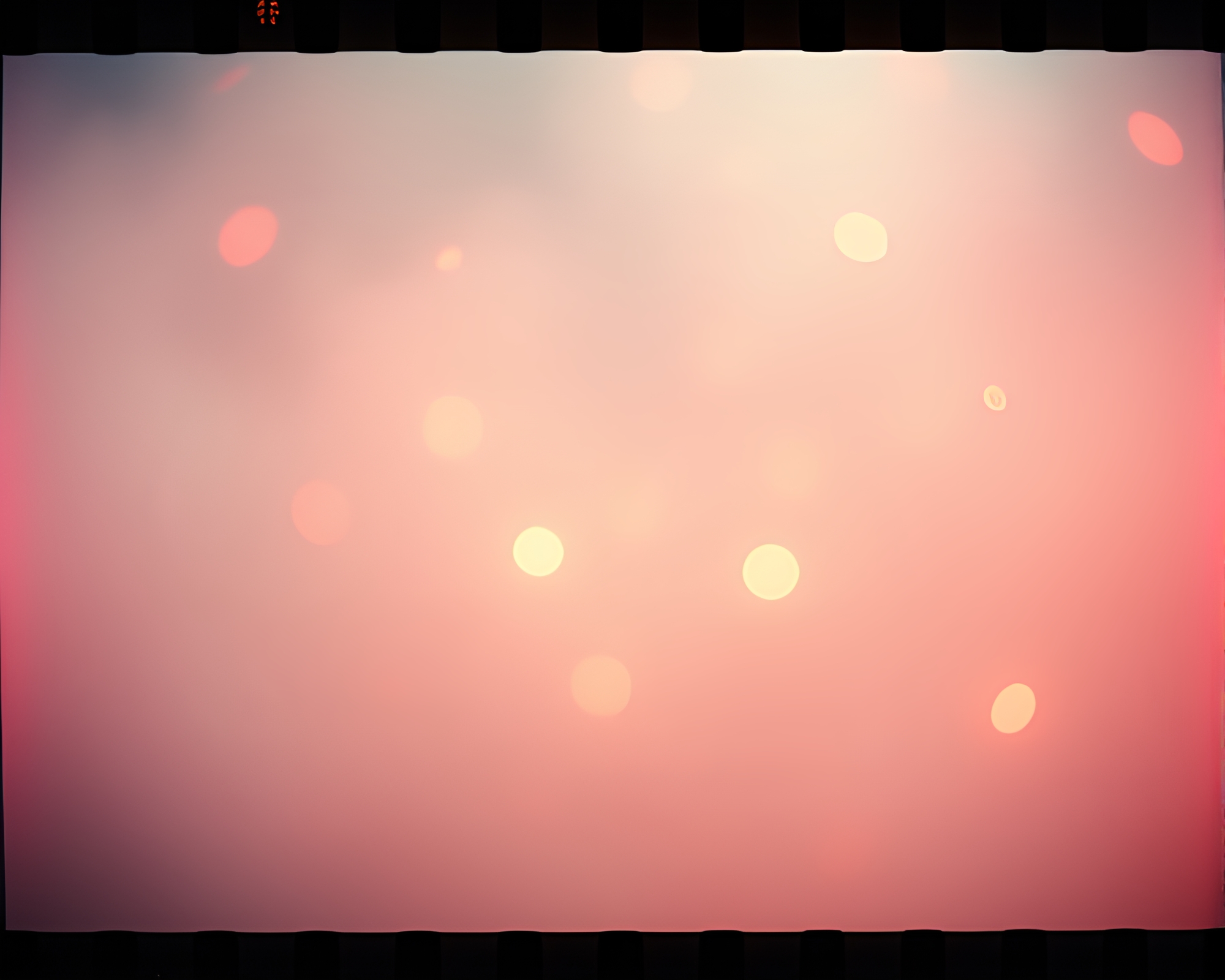 Enchanted Fairy Studio Shot in Dreamy Film Border – free AI stock image