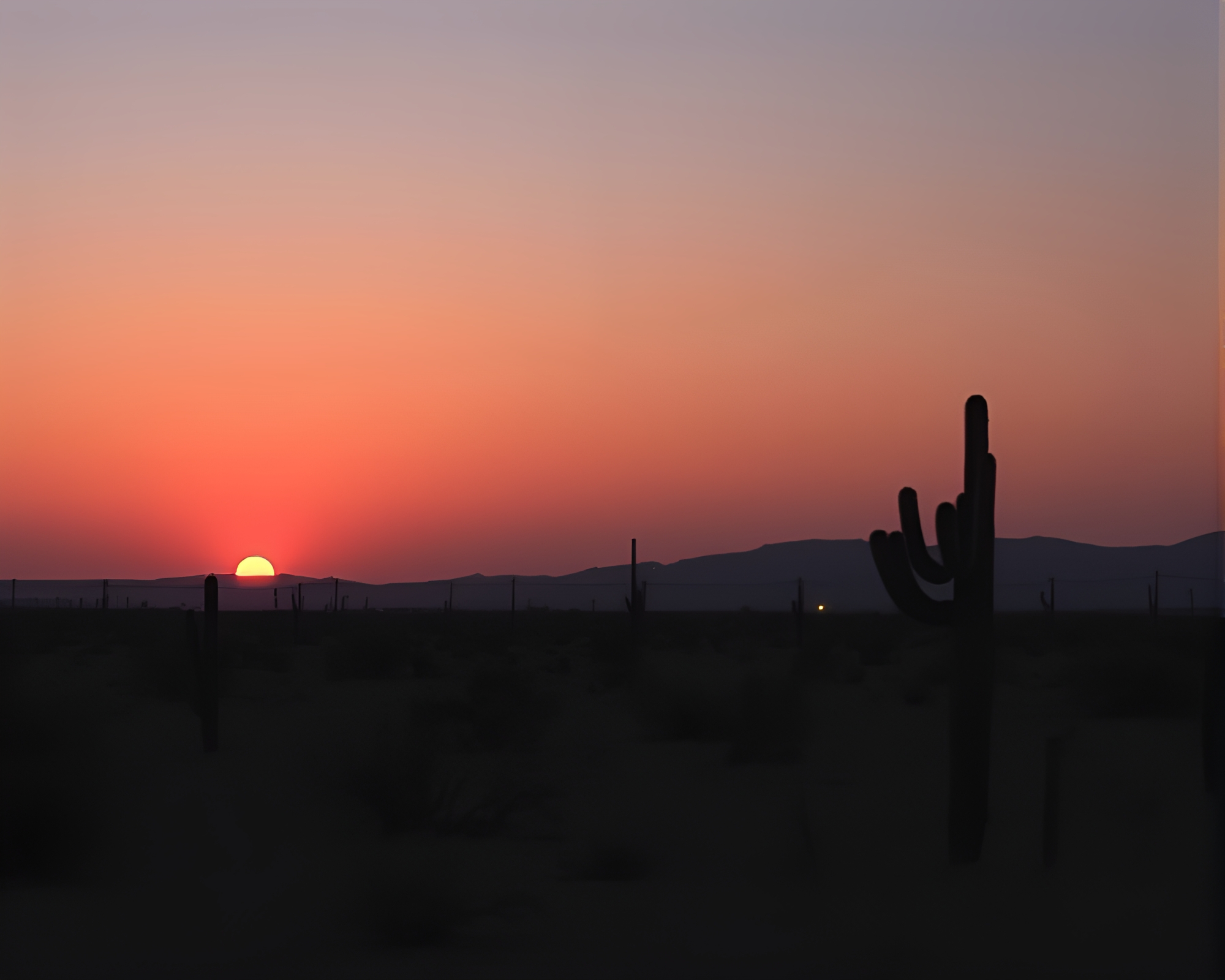Radiant Desert Mirage at Golden Dusk – free AI stock image