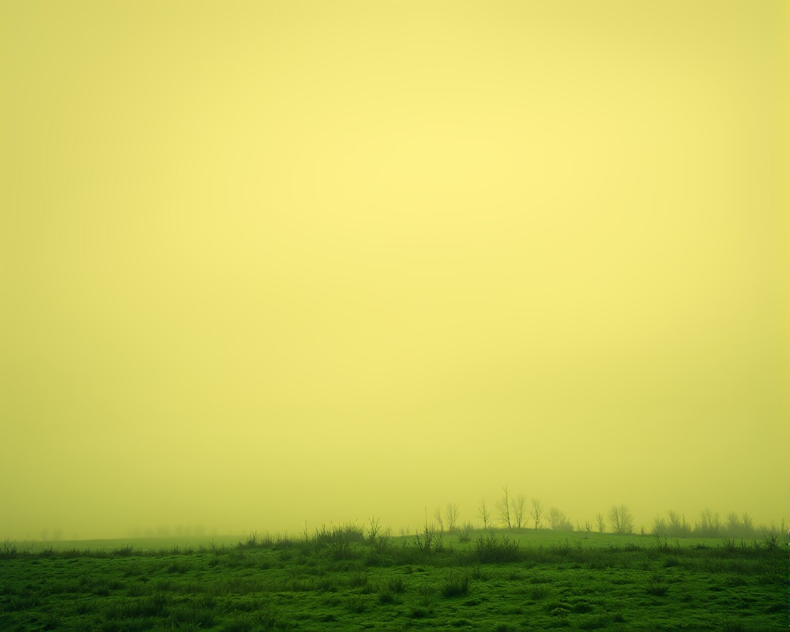 Dreamy fog drifting over emerald green highlights in sepia tones