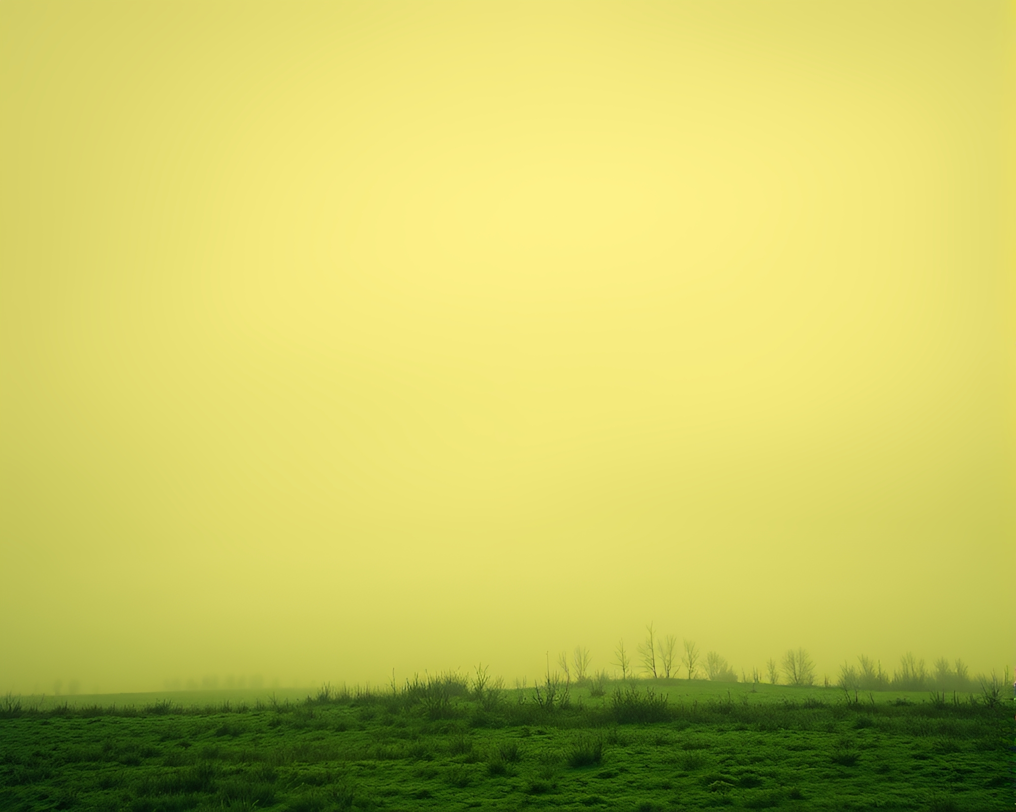 Northern Tundra Mist: Emerald Hues in Sepia Serenity – free AI stock image