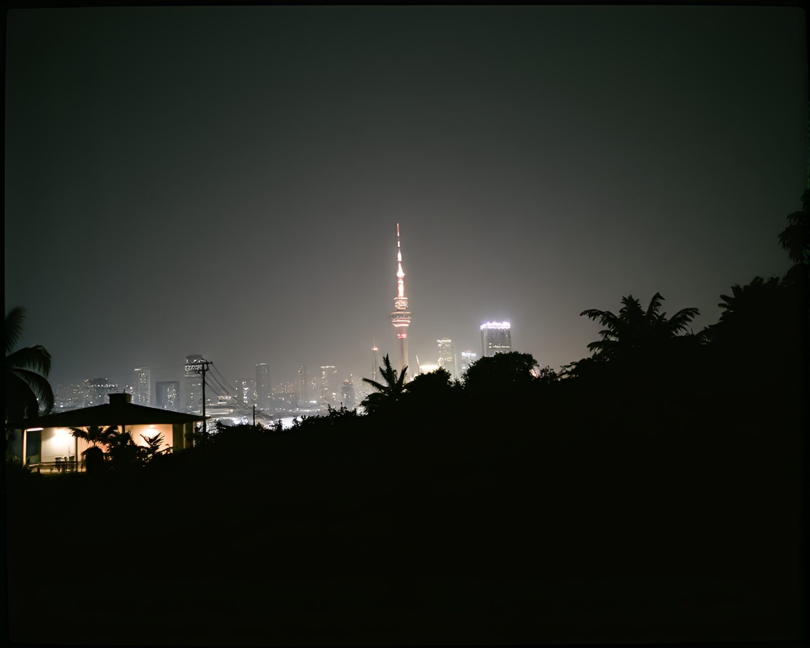 Grainy film atmosphere in a vibrant duochrome sky garden