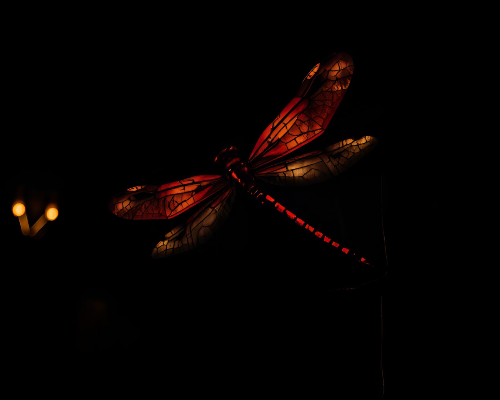 Gloomy low light photo of dragonfly graffiti on urban wall
