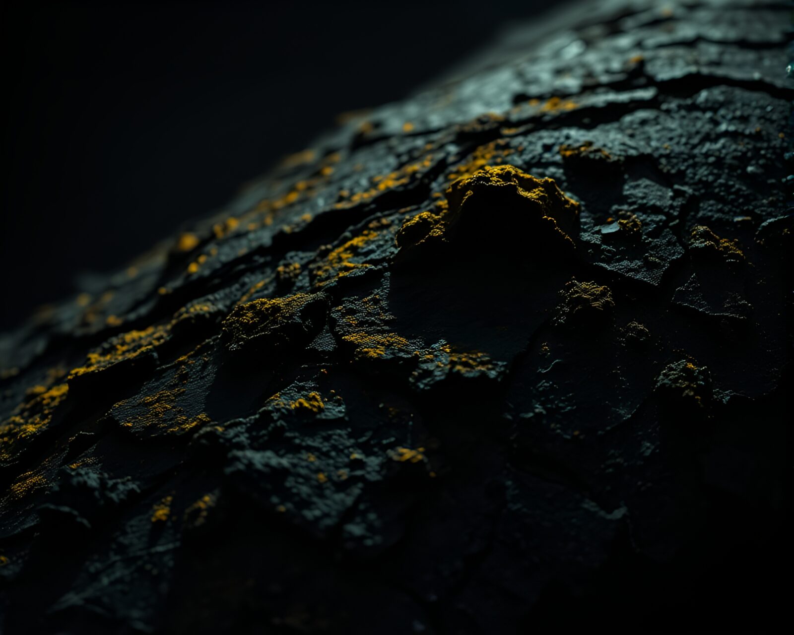 Mystical scene of lichen covered trees in astral light