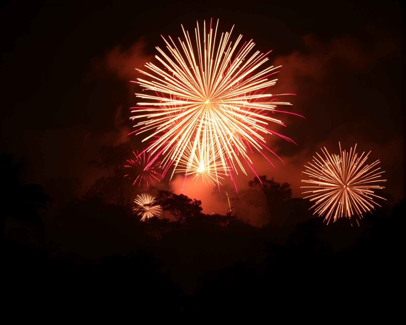 Vibrant fireworks bursting above lush rainforest canopy in silhouette