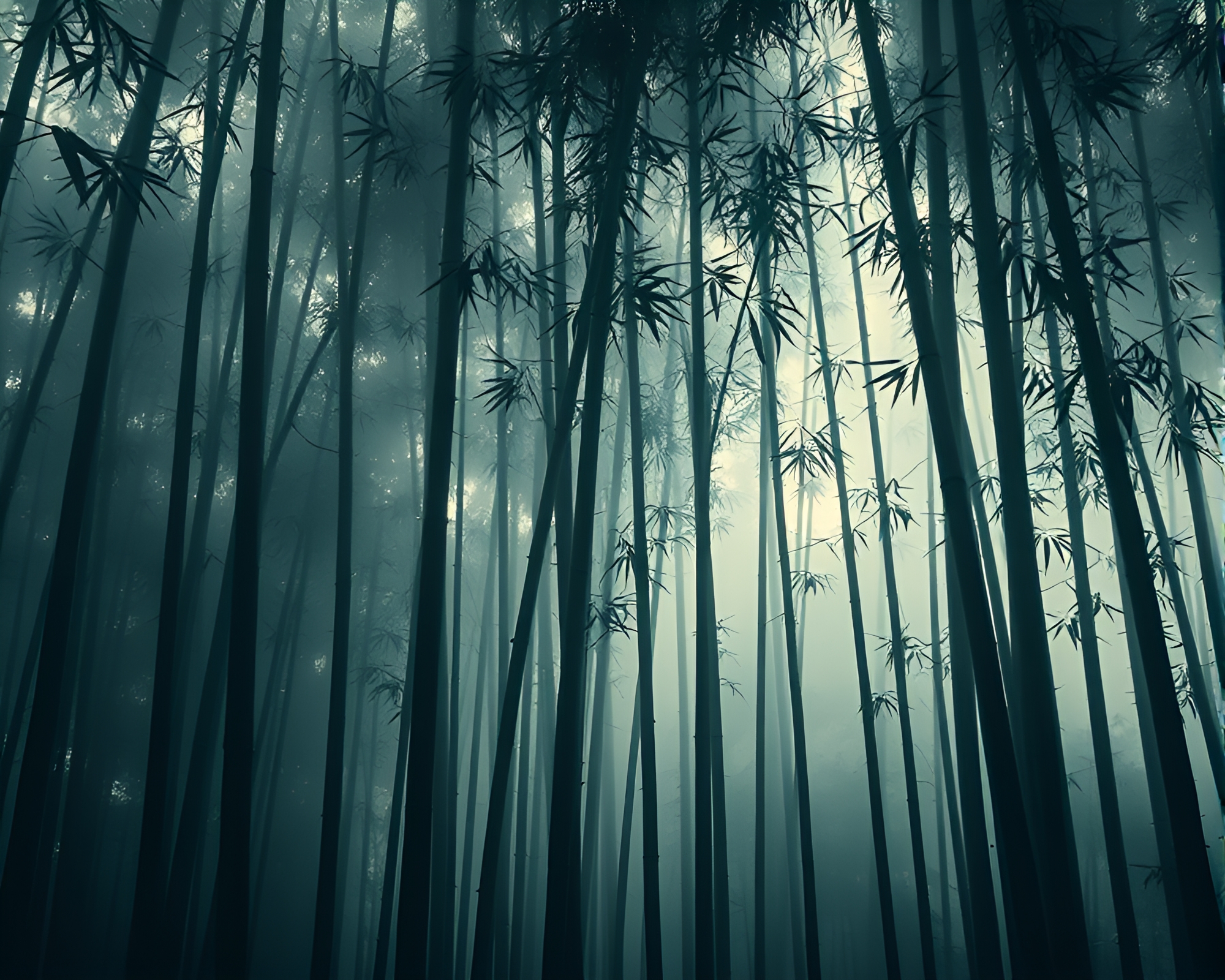 Bamboo Grove Ink Splashes Cinemagraph – free AI stock image
