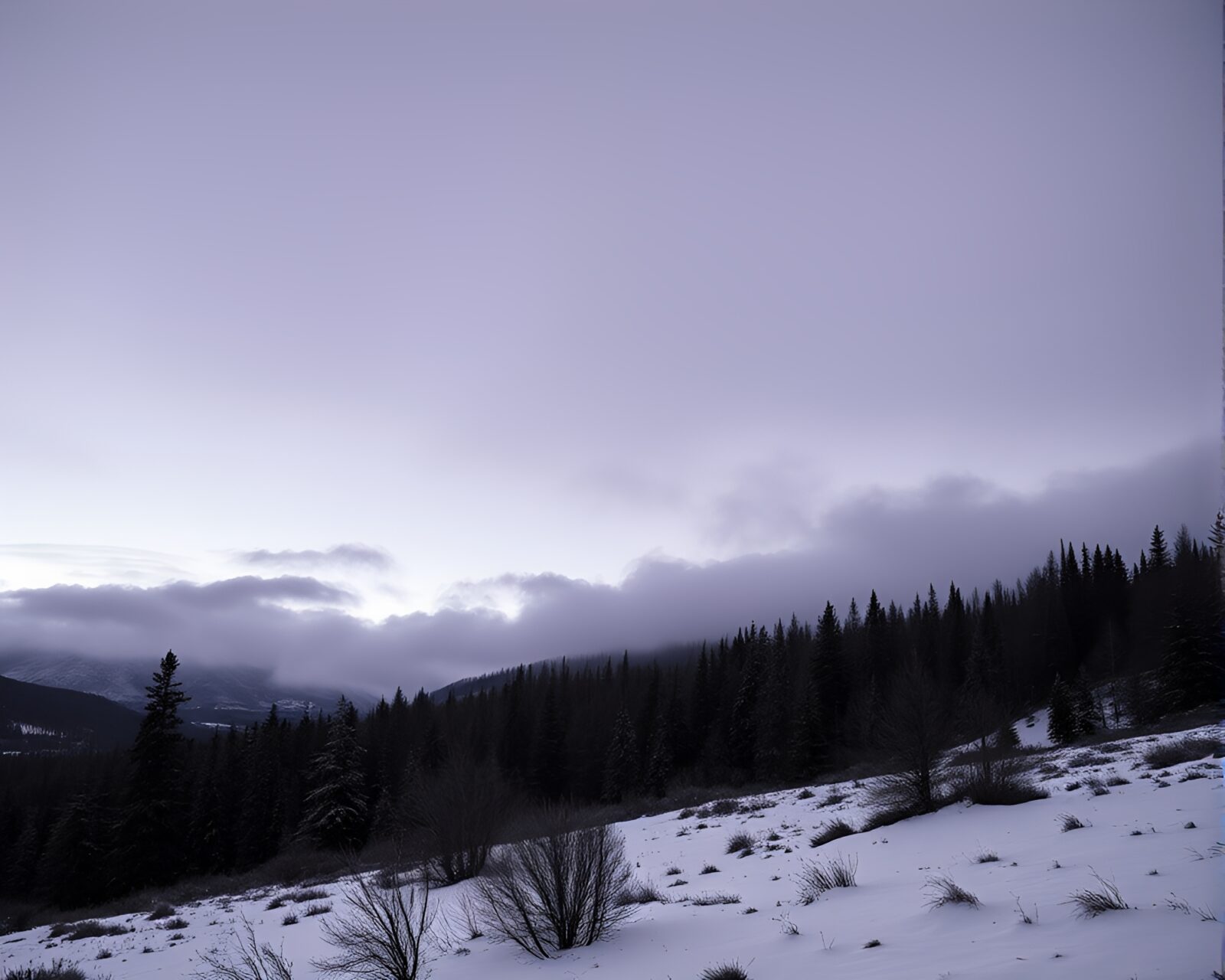 Black and white image of majestic amethyst light on icy tundra