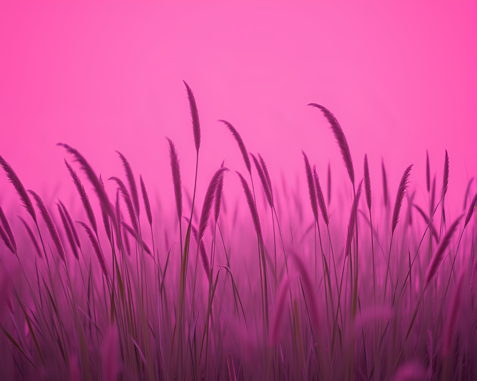 Blush Pink Savannah Grass Portrait – free AI stock image
