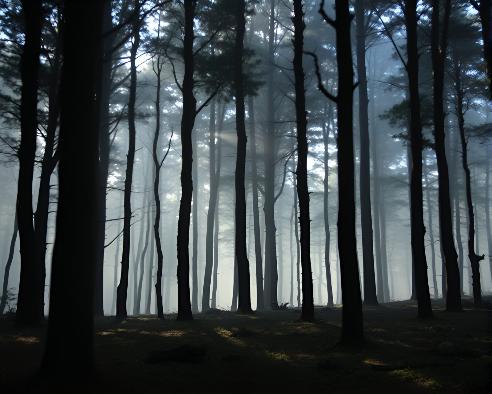 Mystical forest with soft shadows and tattoo art details