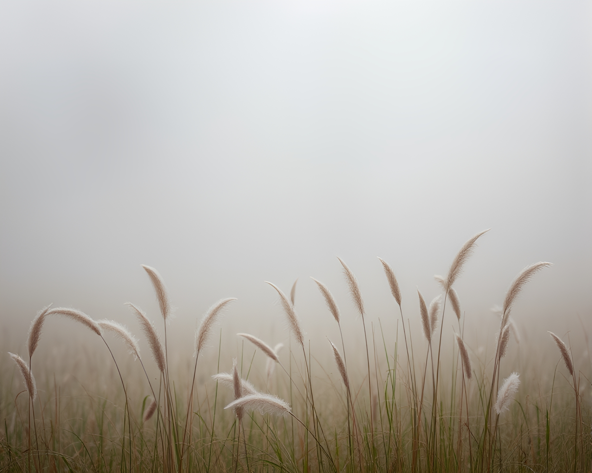 Ethereal Savannah Feather Dusting in Stained Glass Glow – free AI stock image