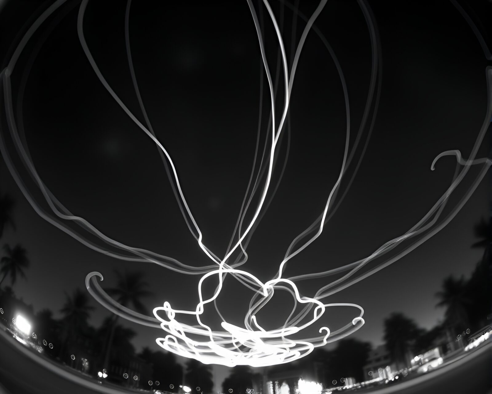 Abstract night sky garden with swirling monochrome patterns and light trails