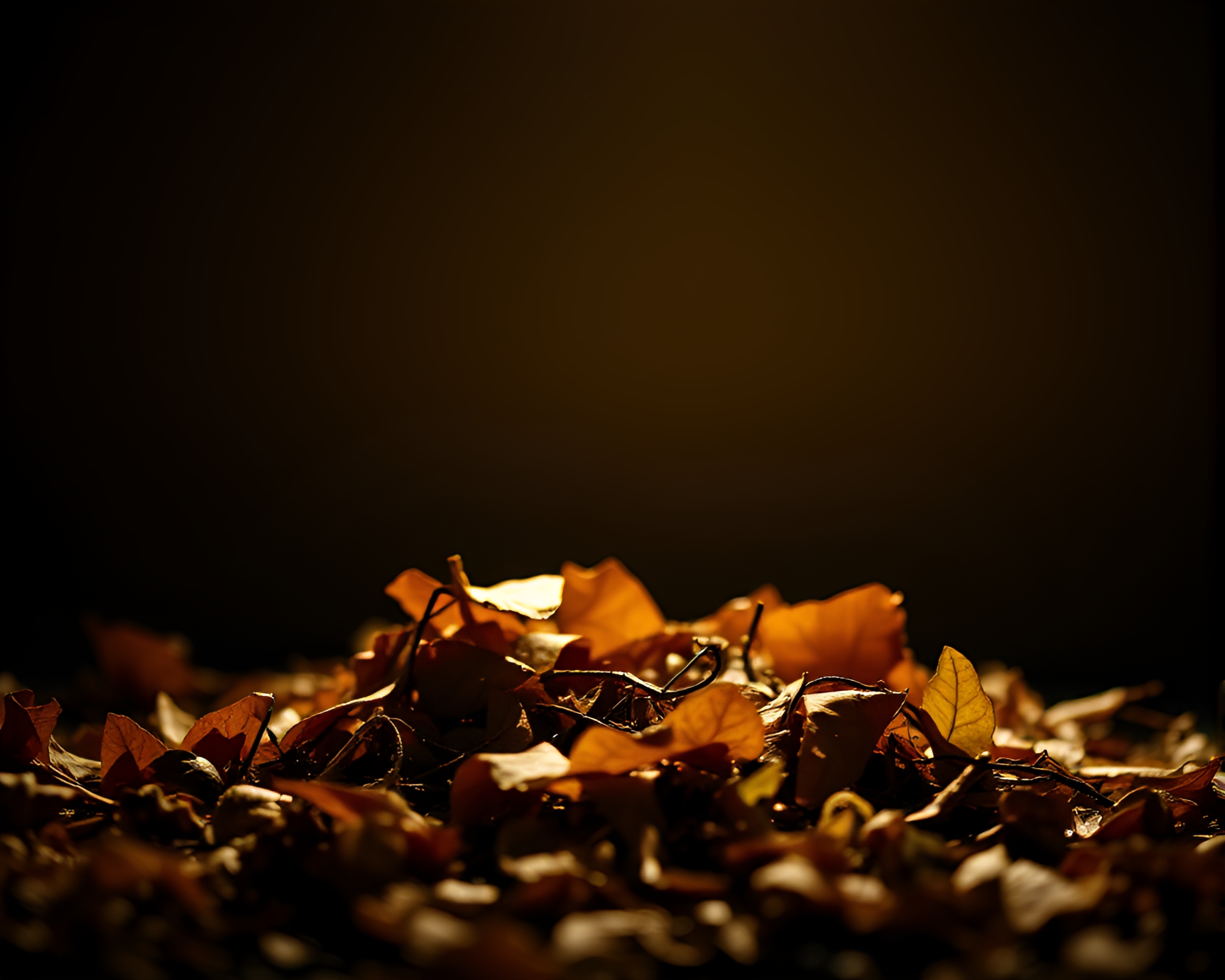 Autumn Vase Illuminated by Spotlight on Leaf-litter – free AI stock image