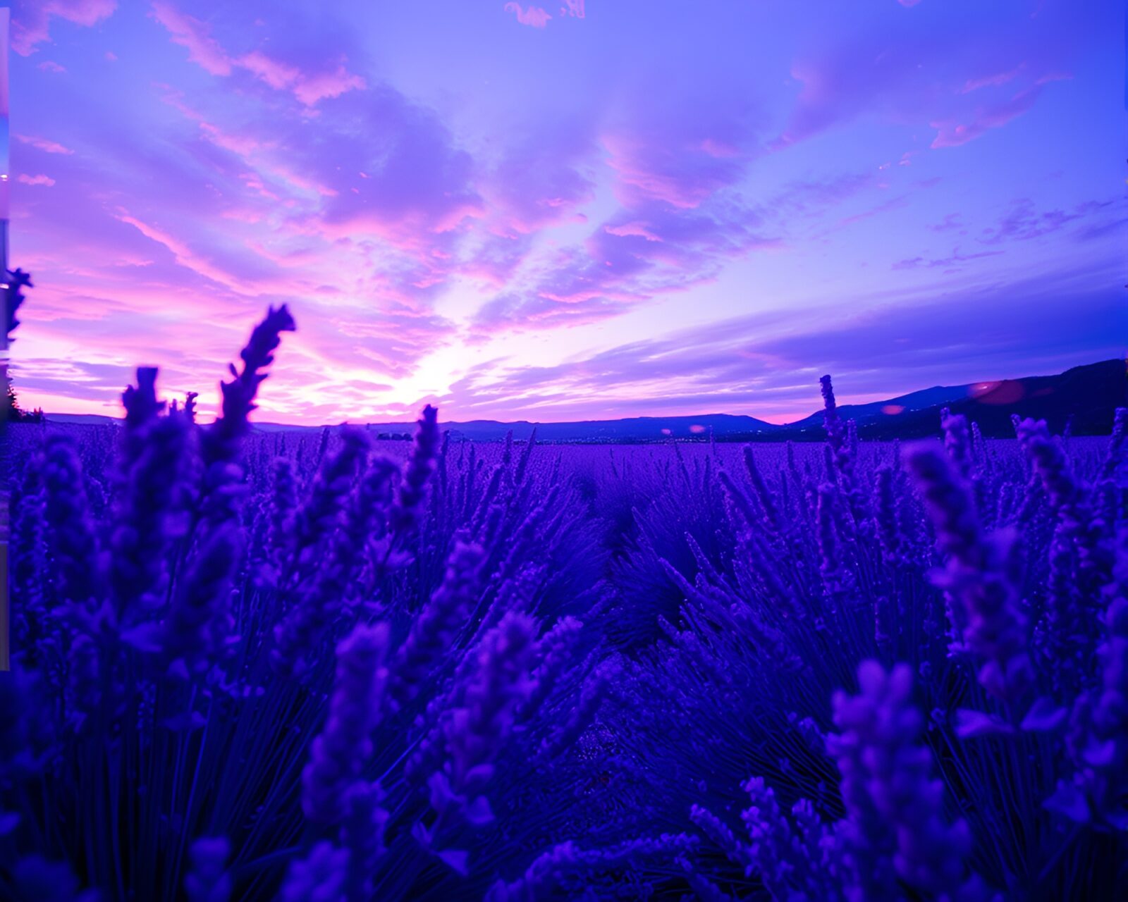 Wide-angle view of futuristic holographic display in lavender twilight