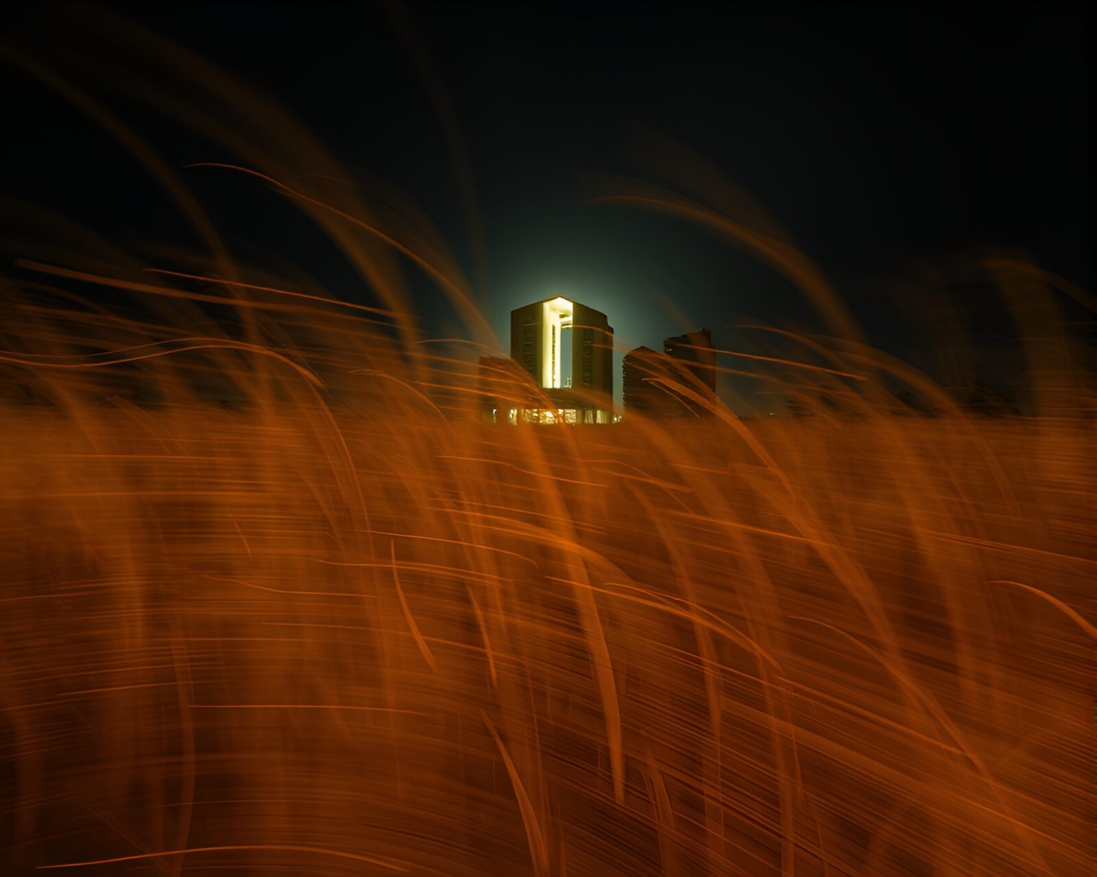 Long exposure image of grassy savannah with cathedral-like lighting