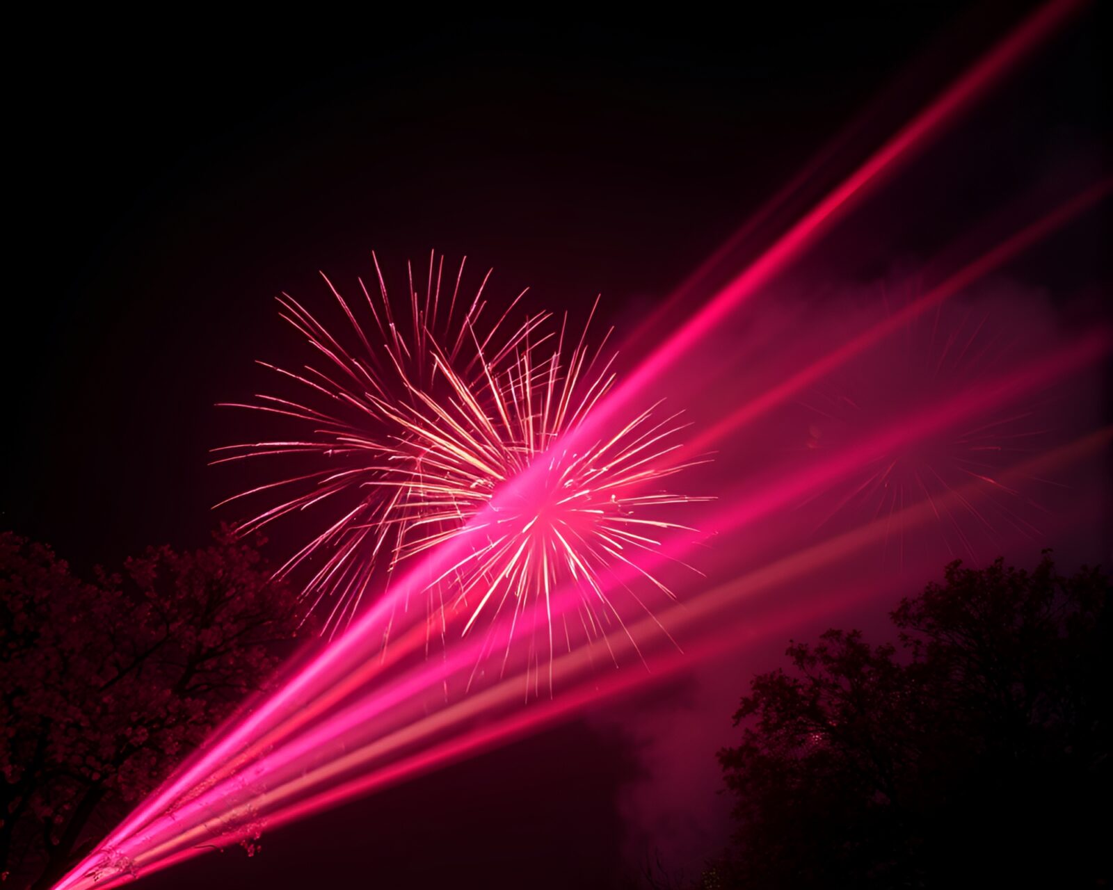 Chiaroscuro image of laser beams lighting up spring blossoms