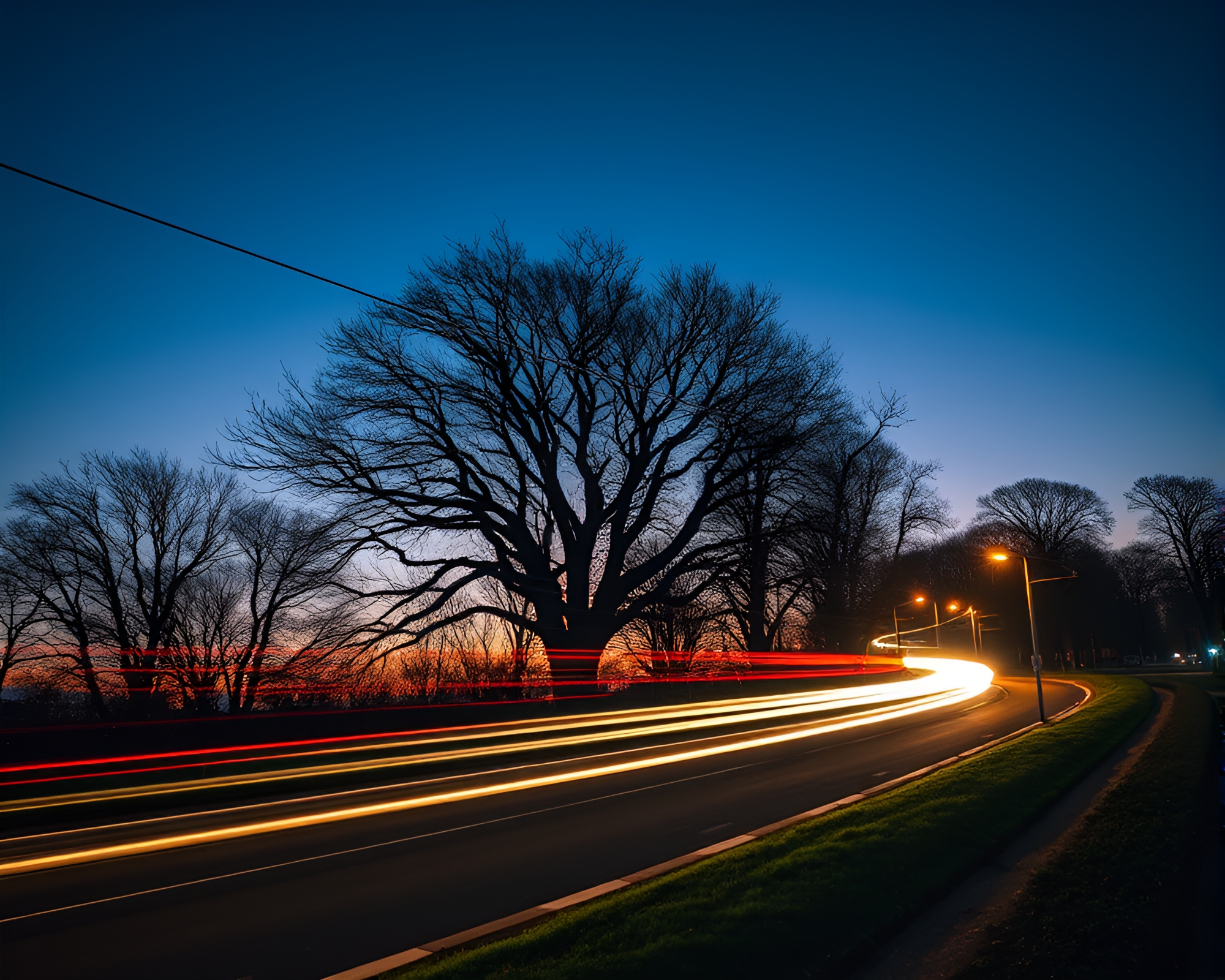 Enchanting Tree Ring Cable Car Ride at Dusk – free AI stock image