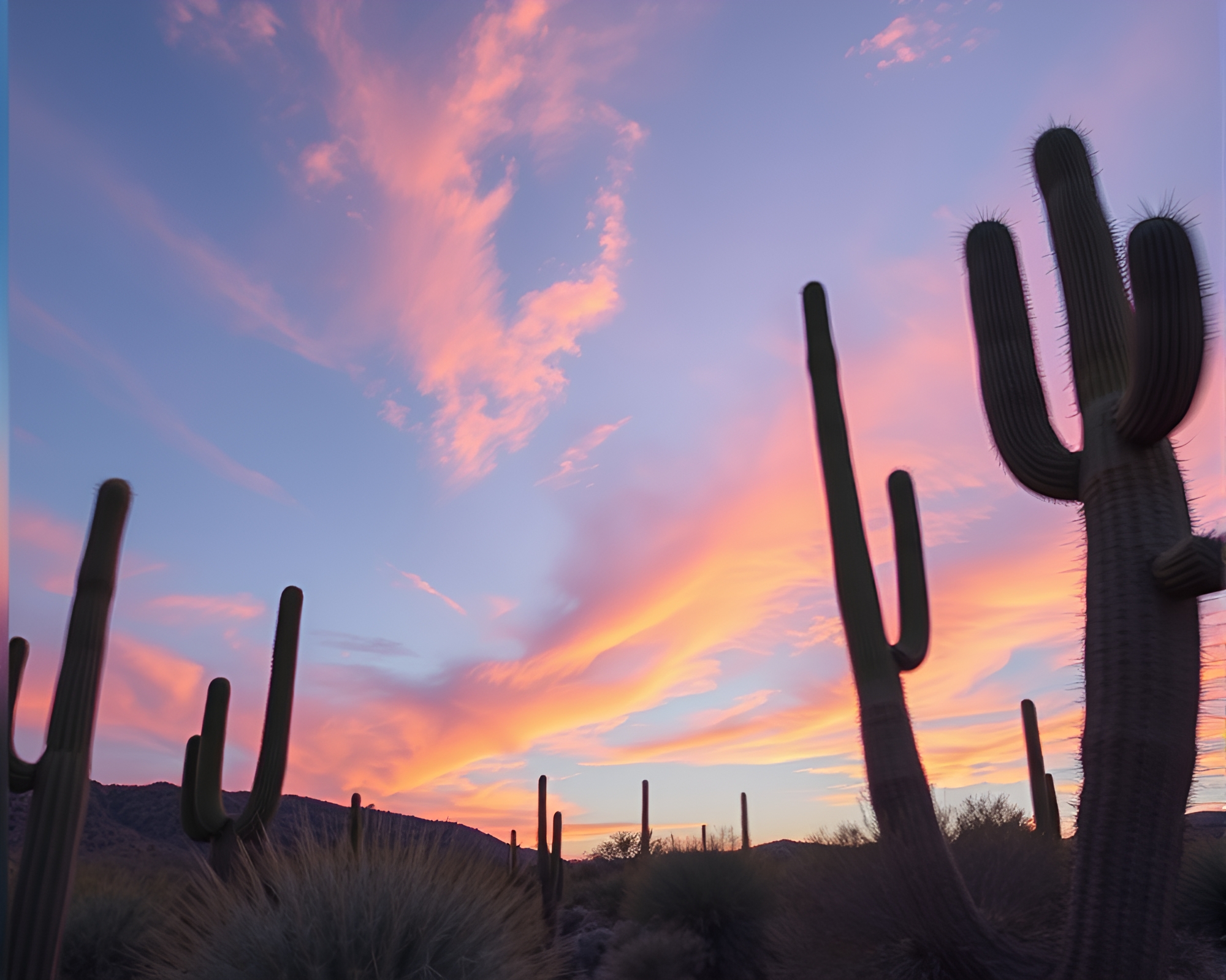 Cubist Desert Cactus at Sunrise – free AI stock image