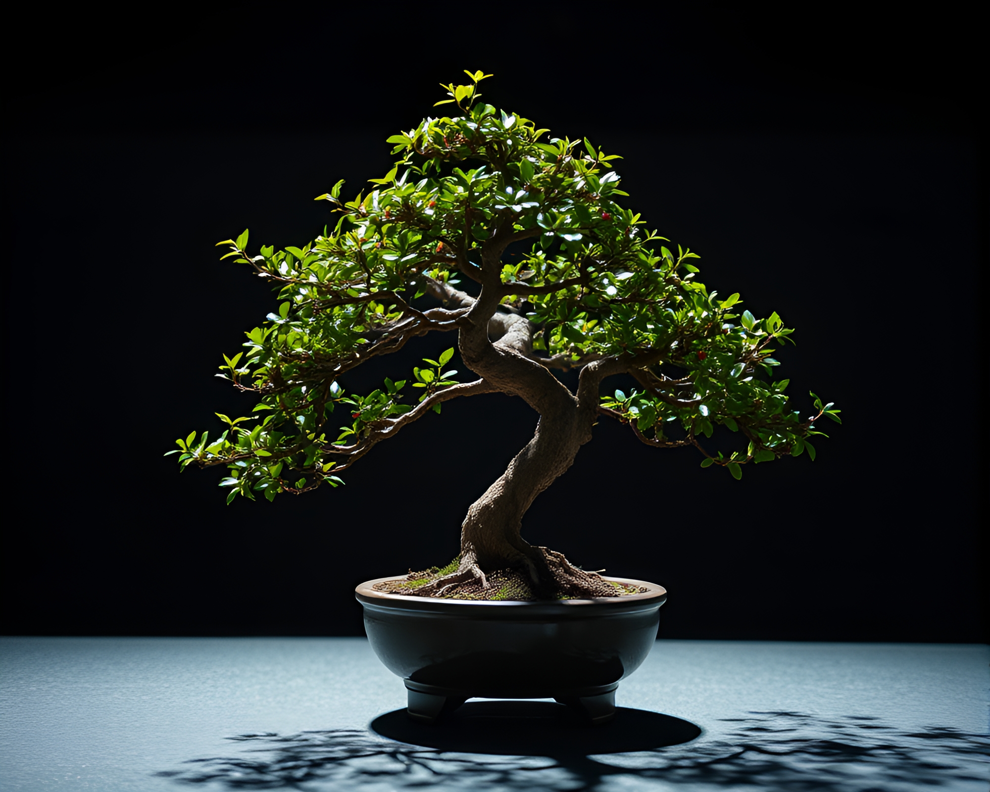 Bonsai Tree Enveloped in Mosaic Lighting – free AI stock image