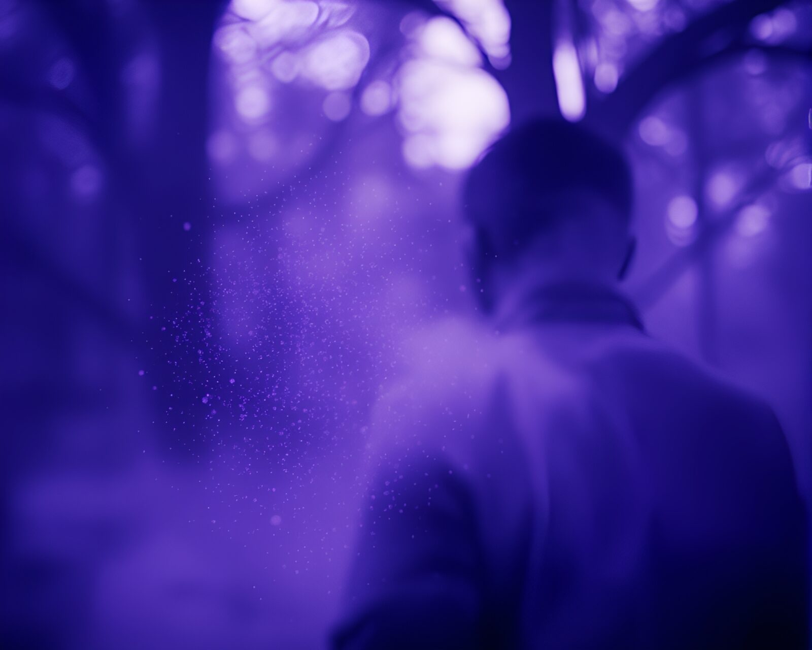 Double exposure photo of savannah landscape with floating dust particles