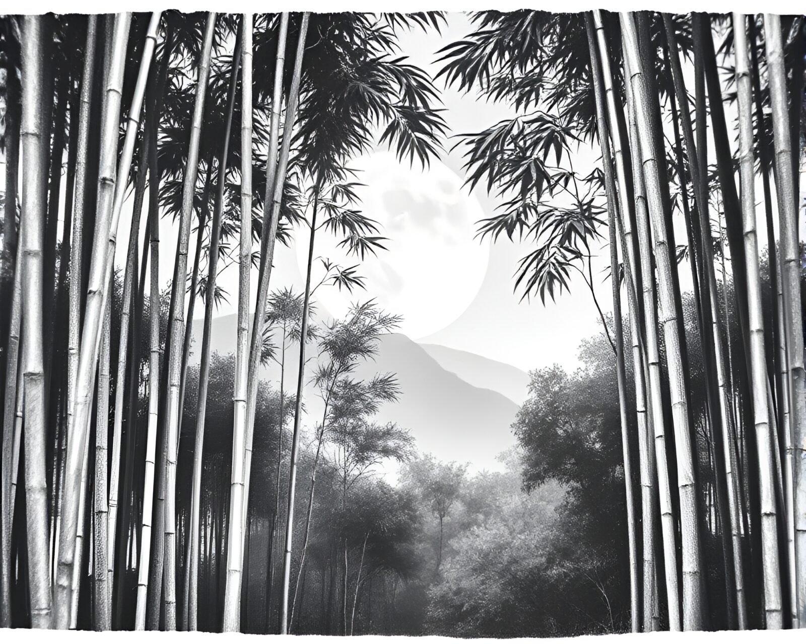 Fantastical moonlit bamboo grove in detailed etching style